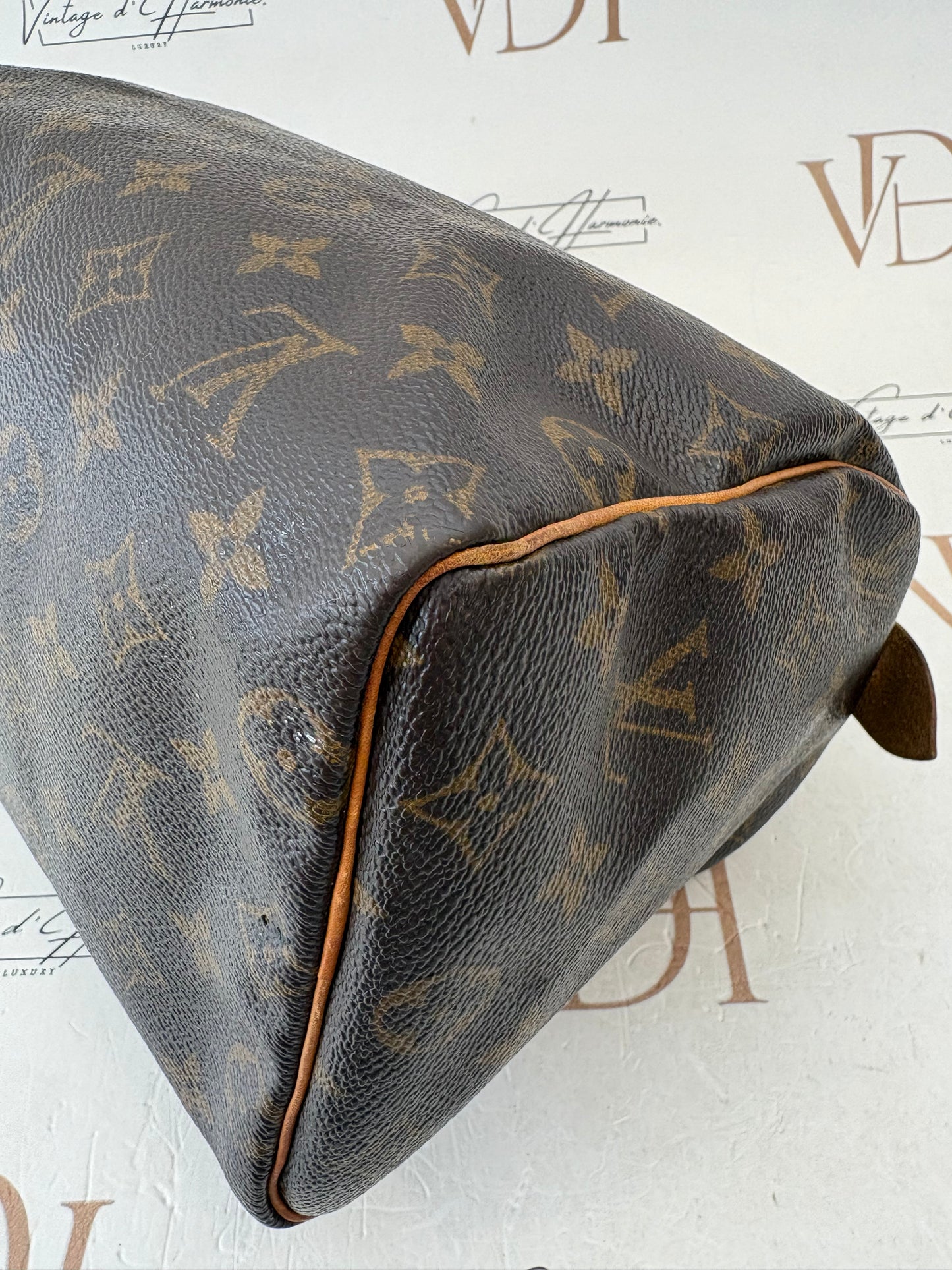 017738 - Louis Vuitton Speedy 25