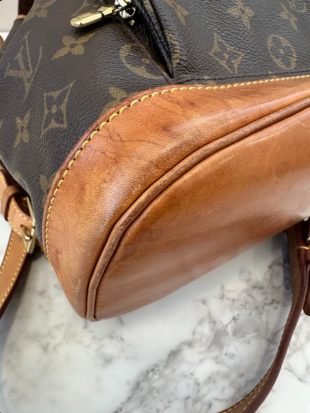 Louis Vuitton Montsouris MM