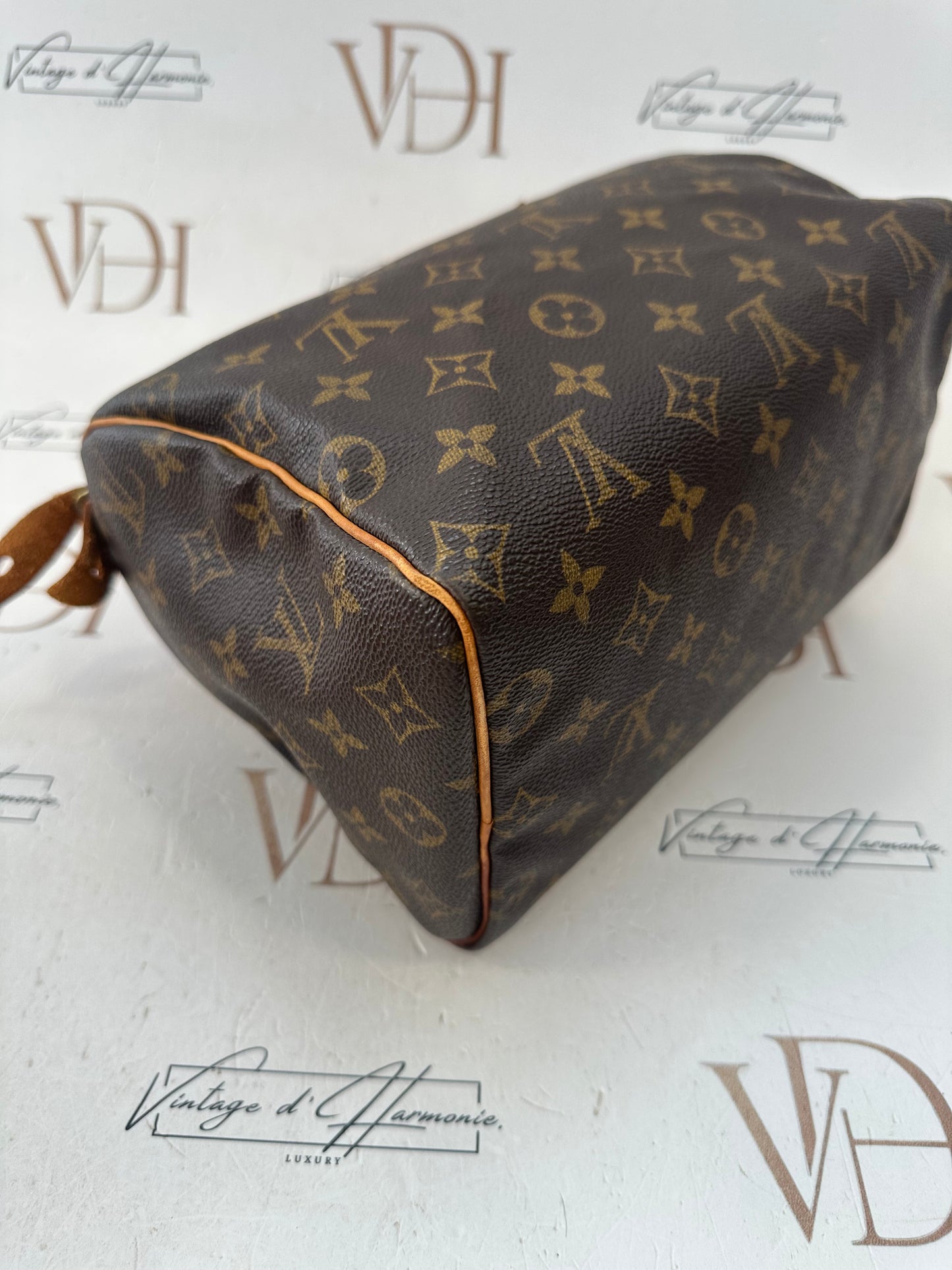 018033 - Louis Vuitton Speedy 25