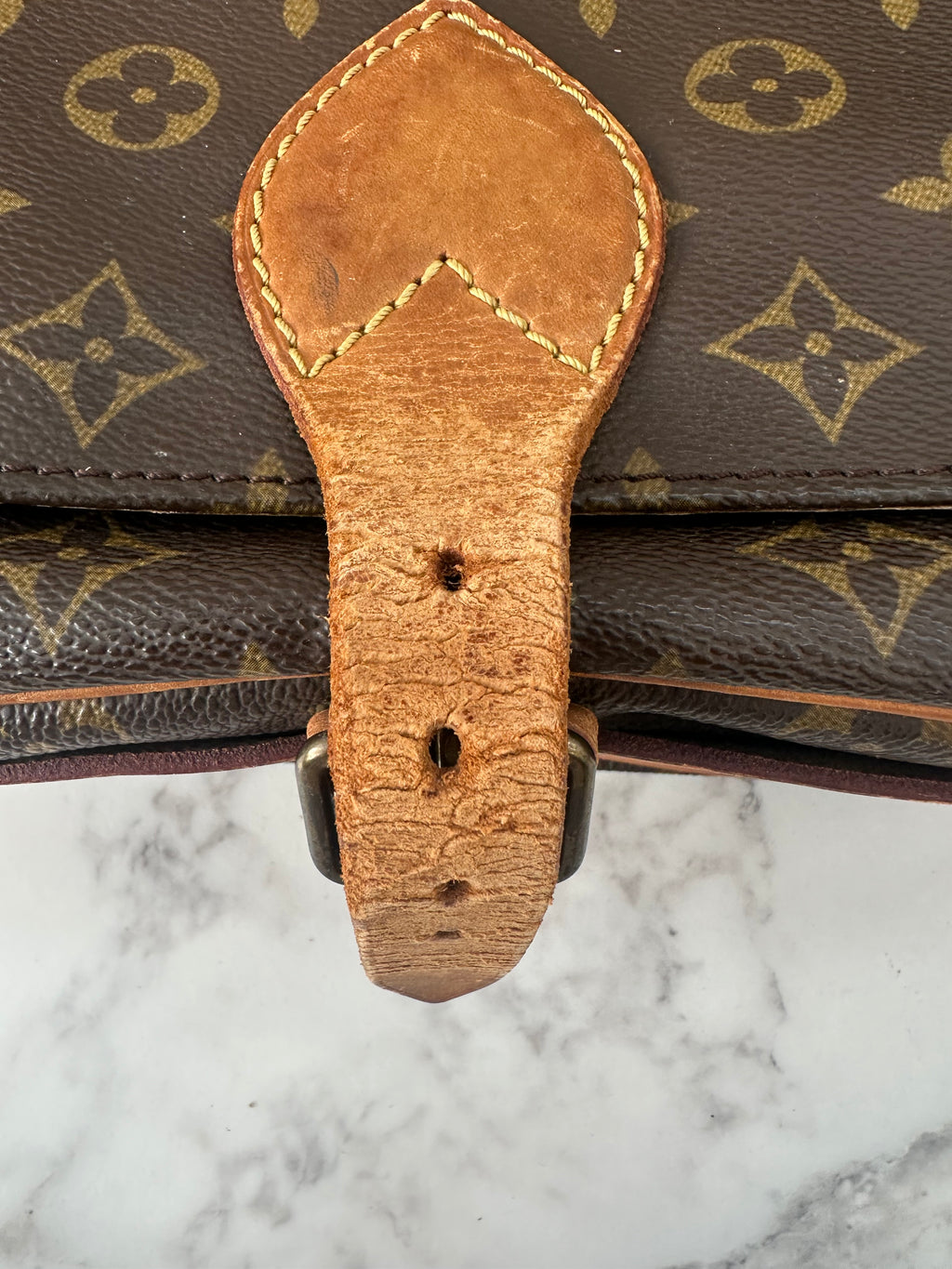 Louis Vuitton Cartouchiere GM