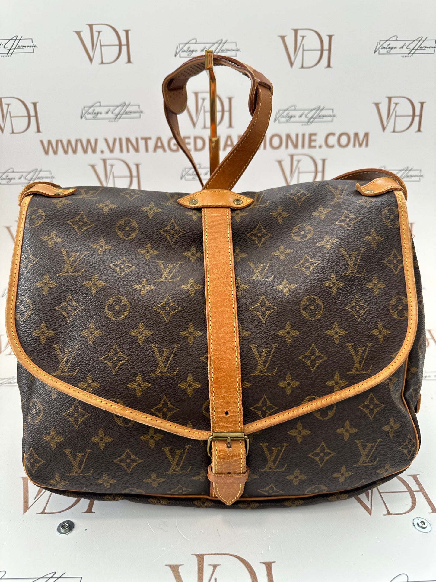 018125 - Louis Vuitton Saumur 35