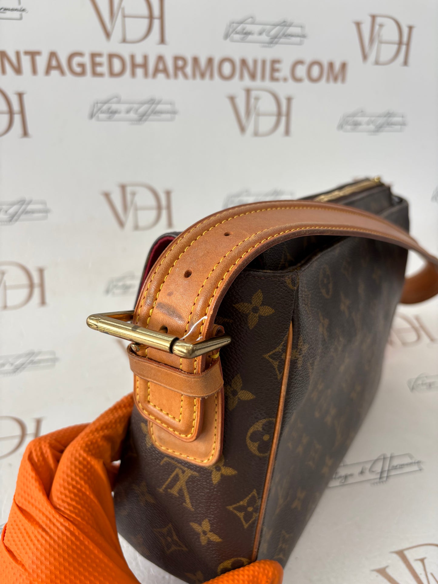 017318 - Louis Vuitton Viva Cite GM