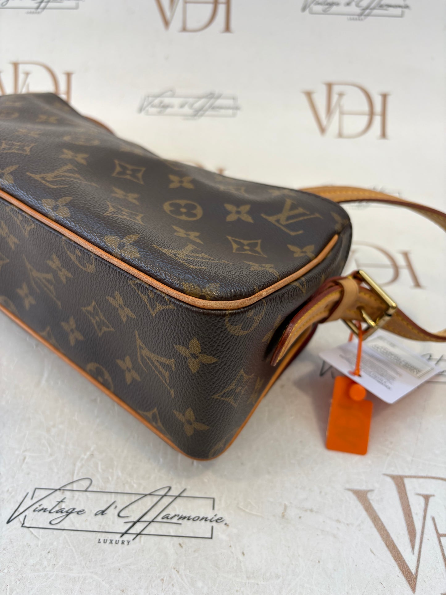 018593 - Louis Vuitton Viva Cite MM