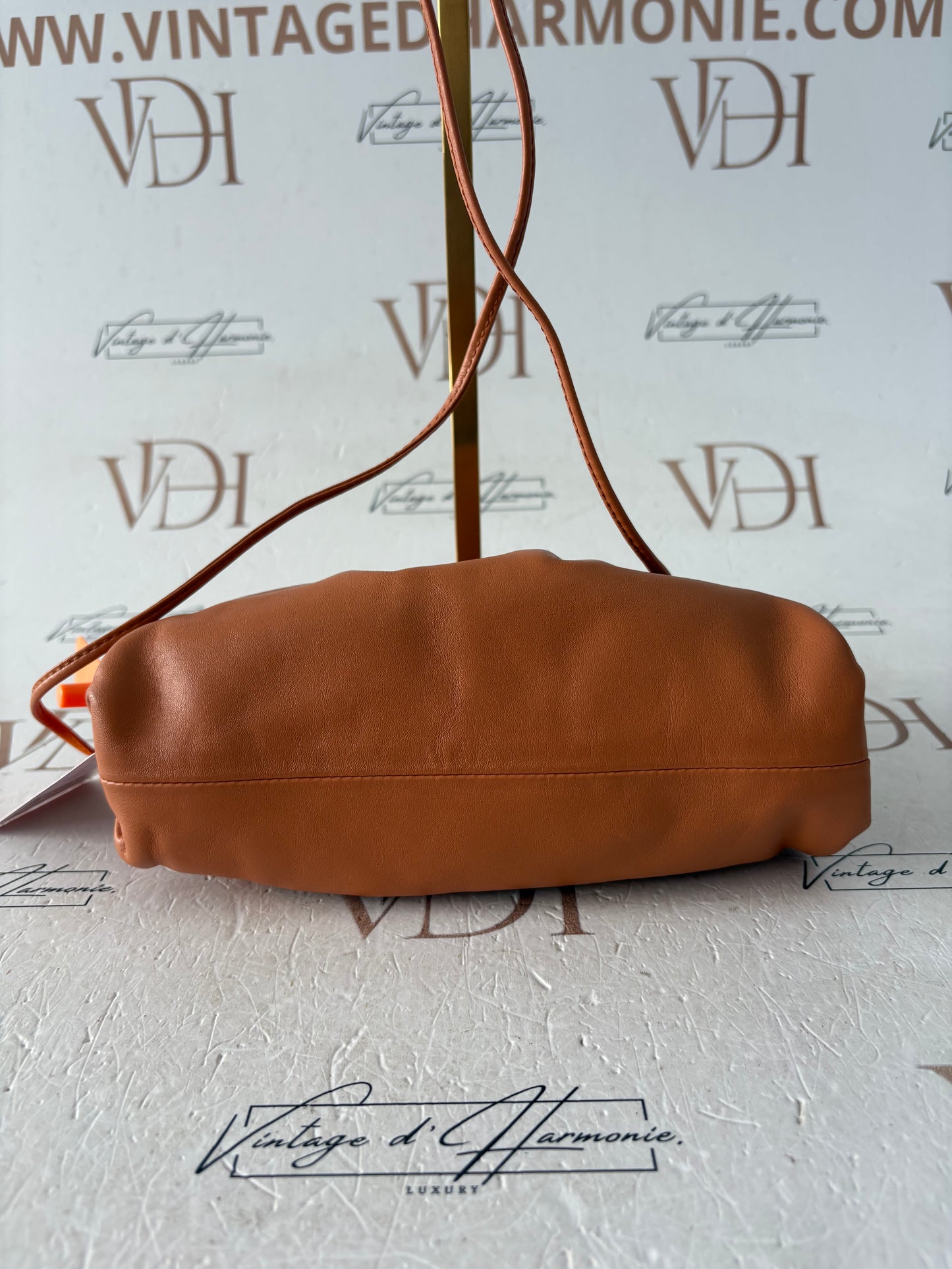 201526 - Bottega Veneta The Pouch
