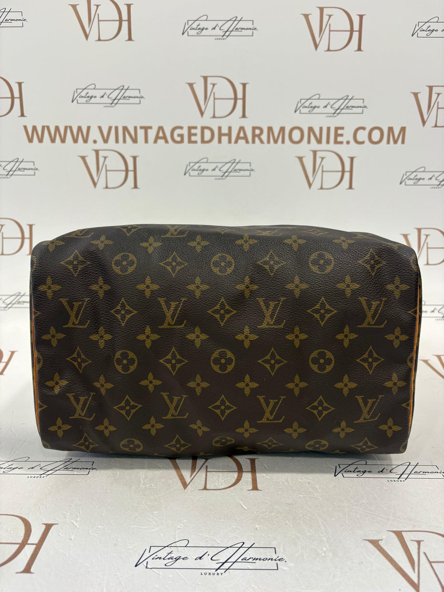 017646 - Louis Vuitton Speedy 30