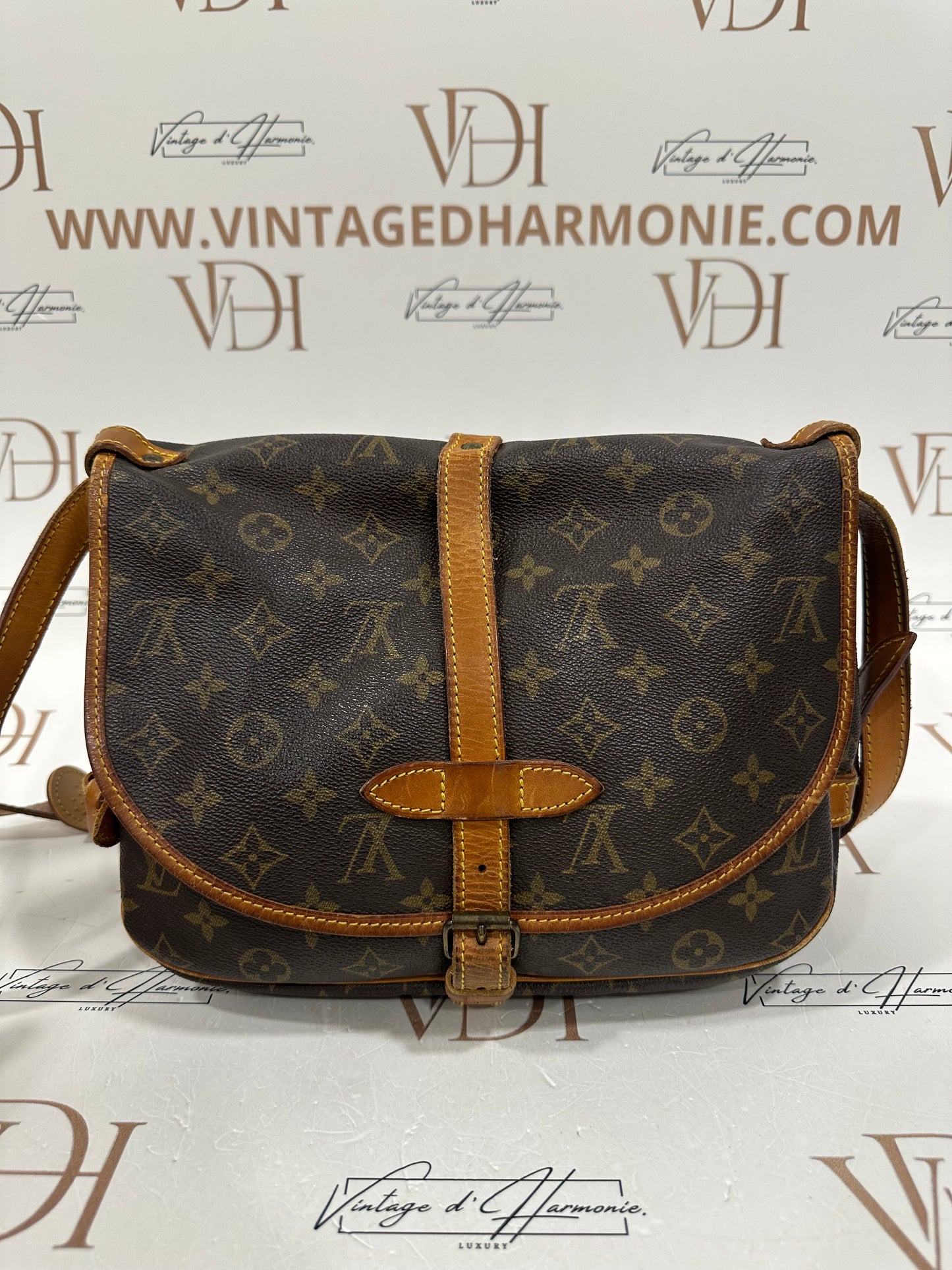 017874 - Louis Vuitton Saumur 30