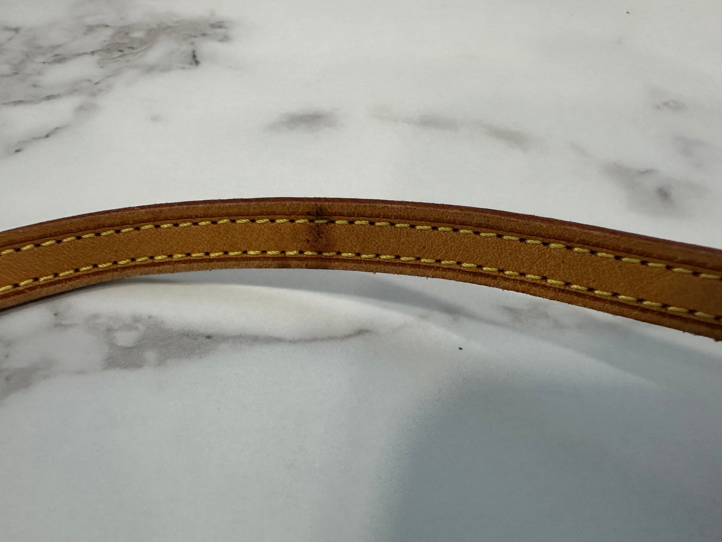 Louis Vuitton Pochette Twin GM