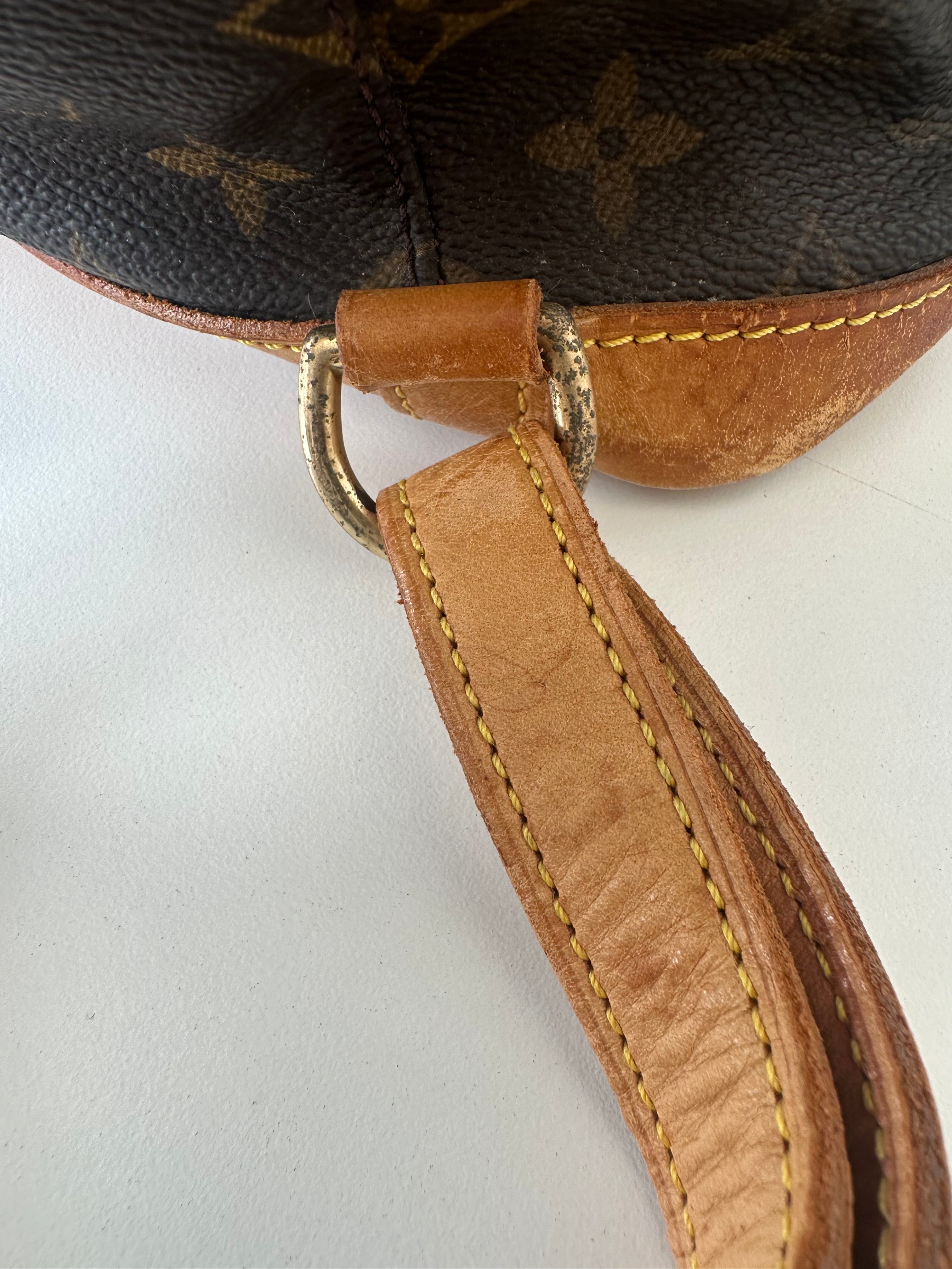 Louis Vuitton Montsouris GM