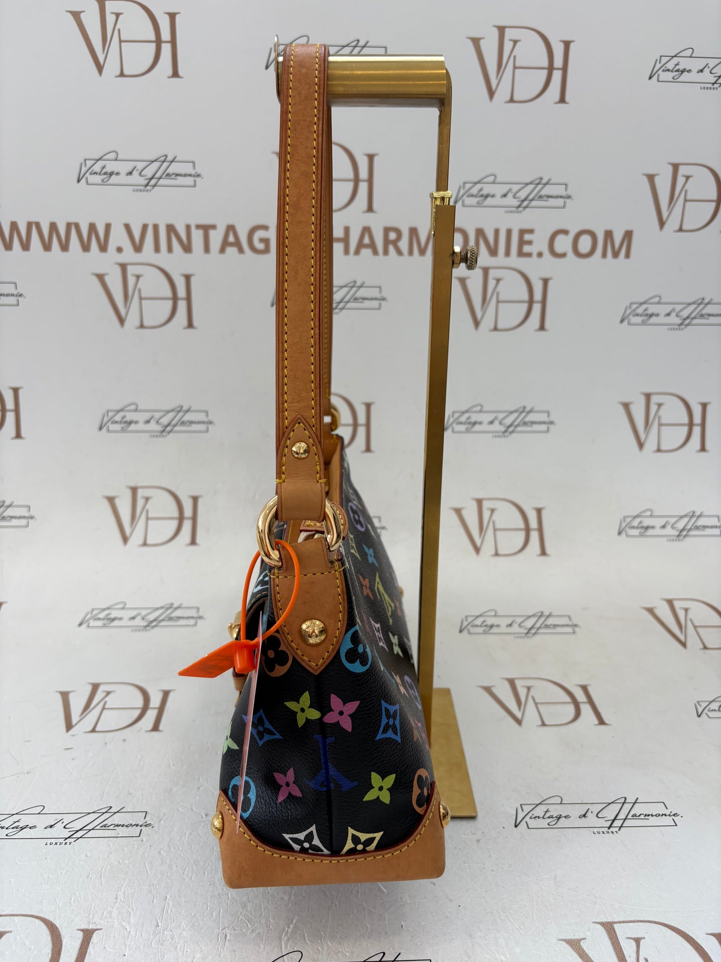 018346 - Louis Vuitton Multicolor Eliza