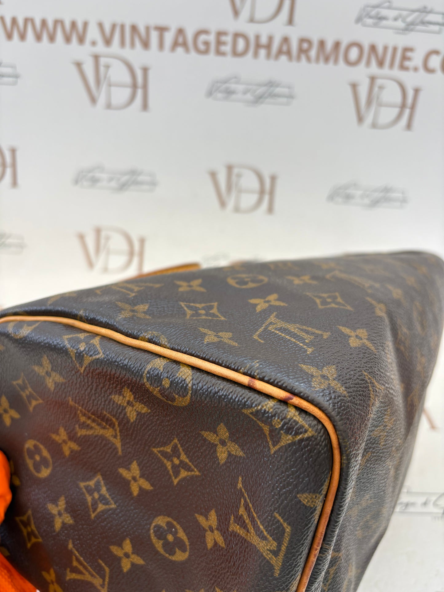 018365 - Louis Vuitton Speedy 30