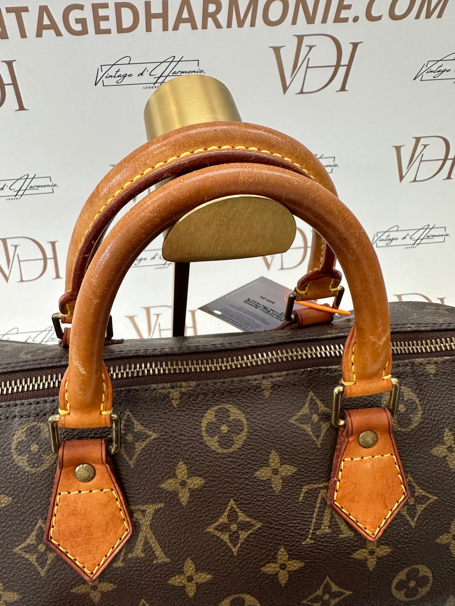 016863 - Louis Vuitton Speedy 30