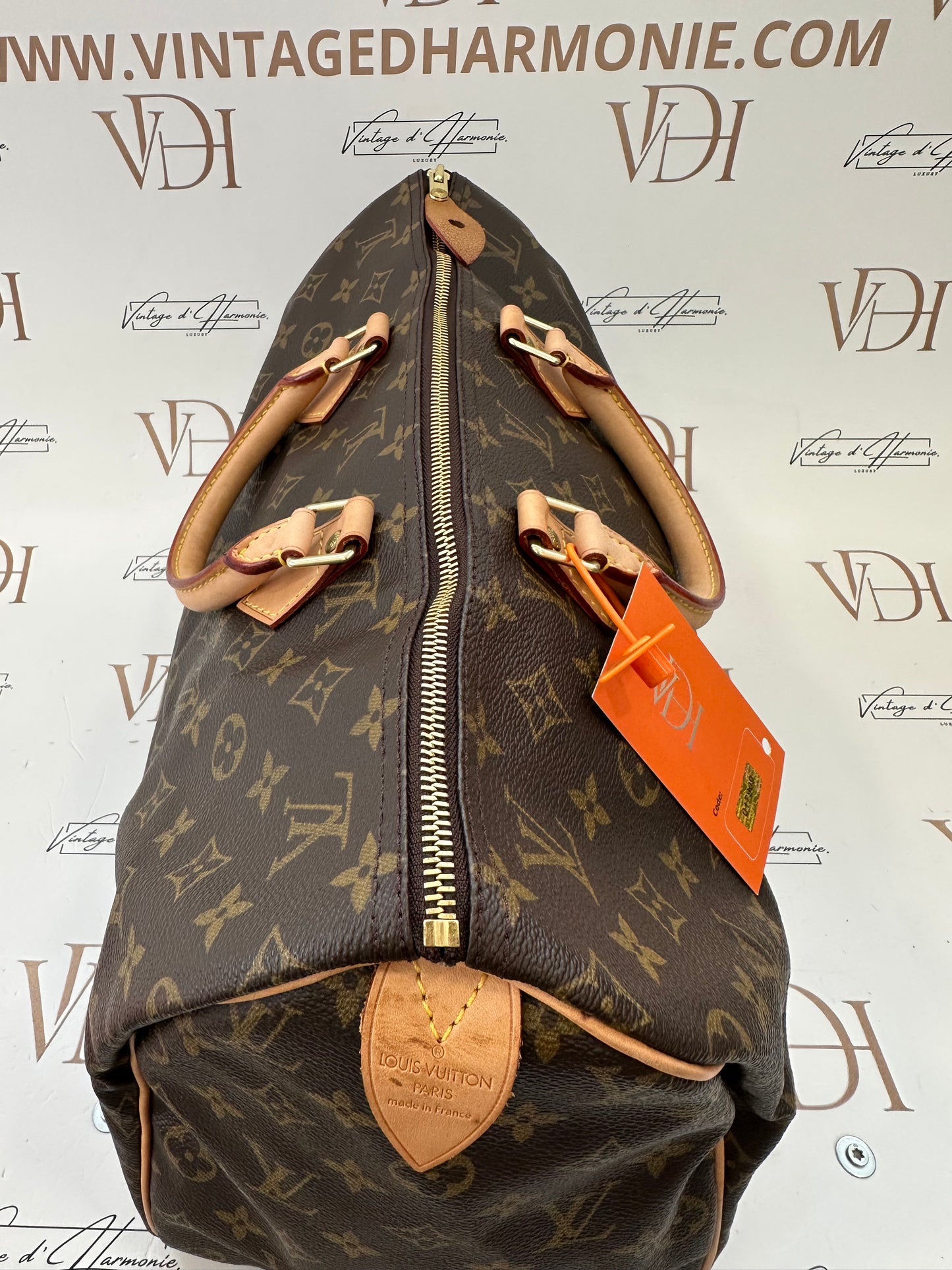 017909 - Louis Vuitton Speedy 40