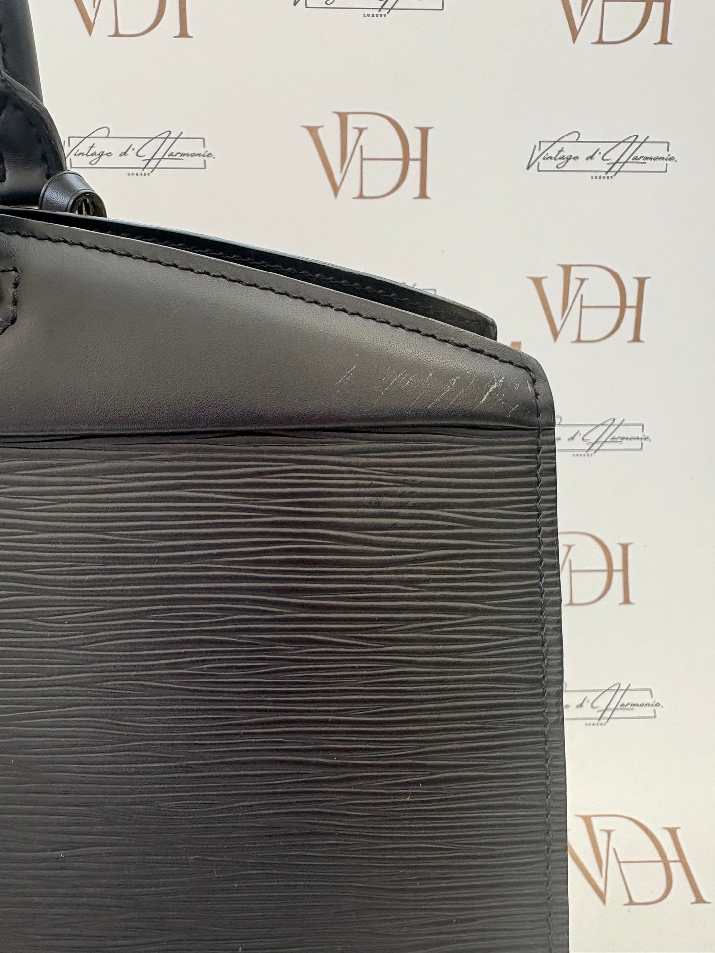 018659 - Louis Vuitton Riviera Epi Black