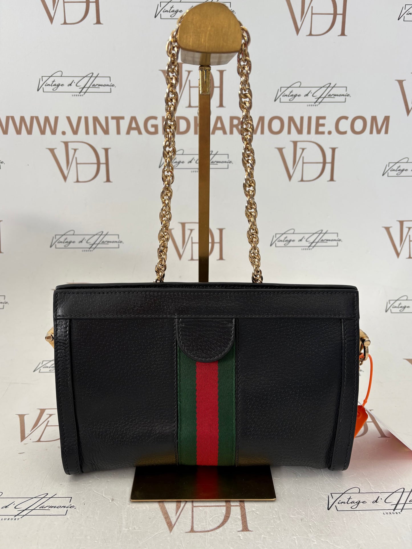 383877 - Gucci Ophidia