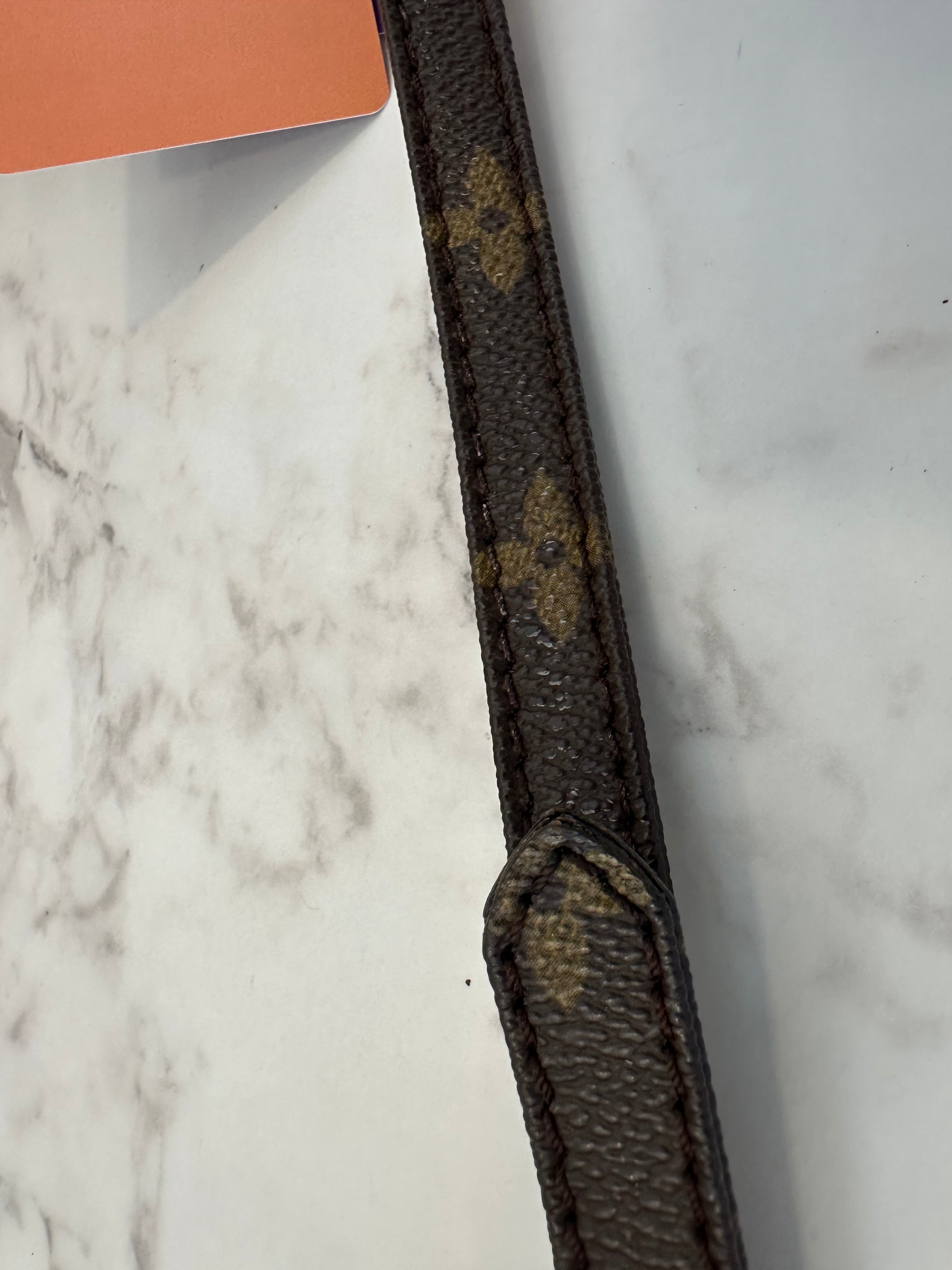 Louis Vuitton Mini Danube