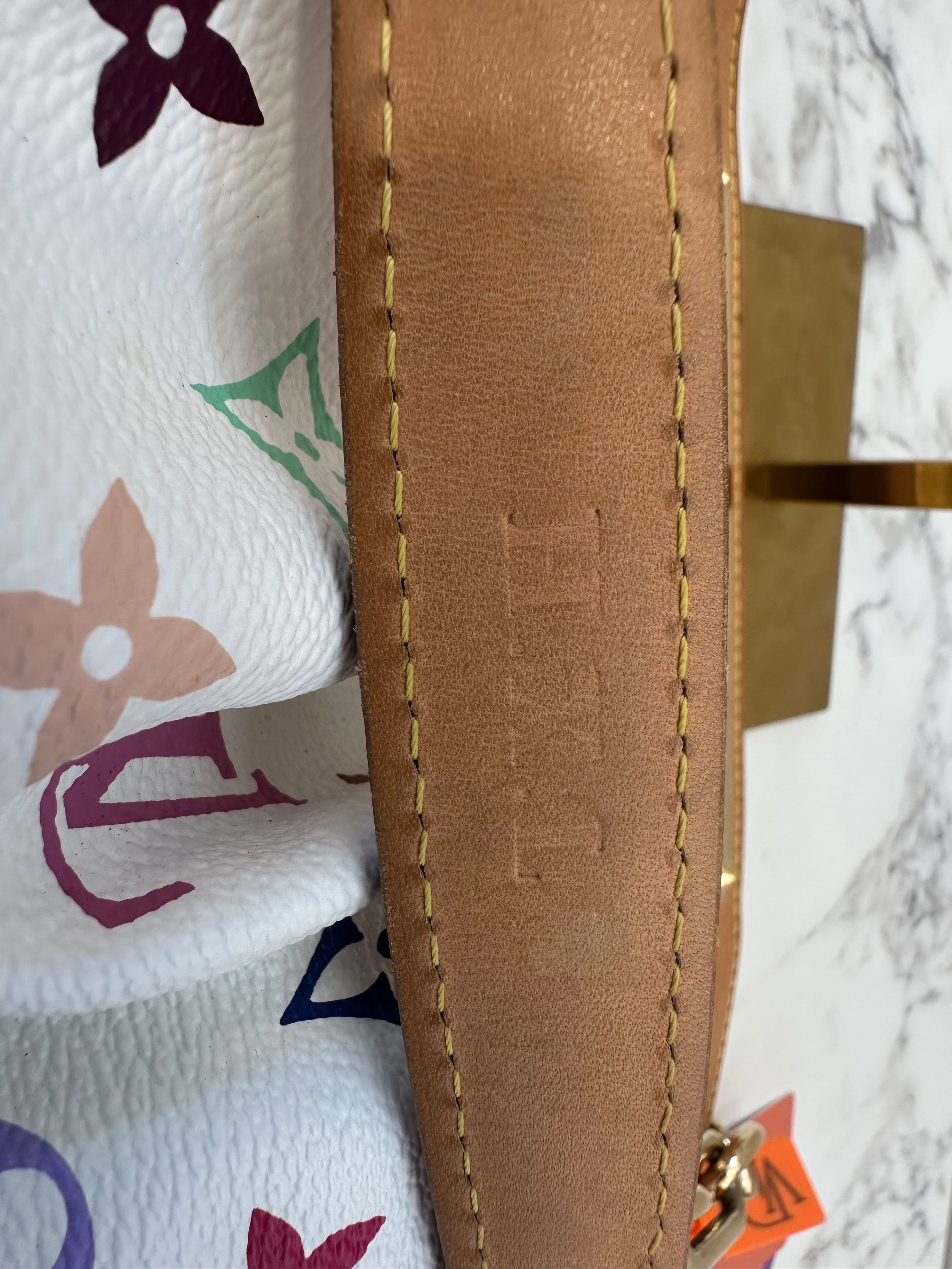 Louis Vuitton Judy MM Multicolor