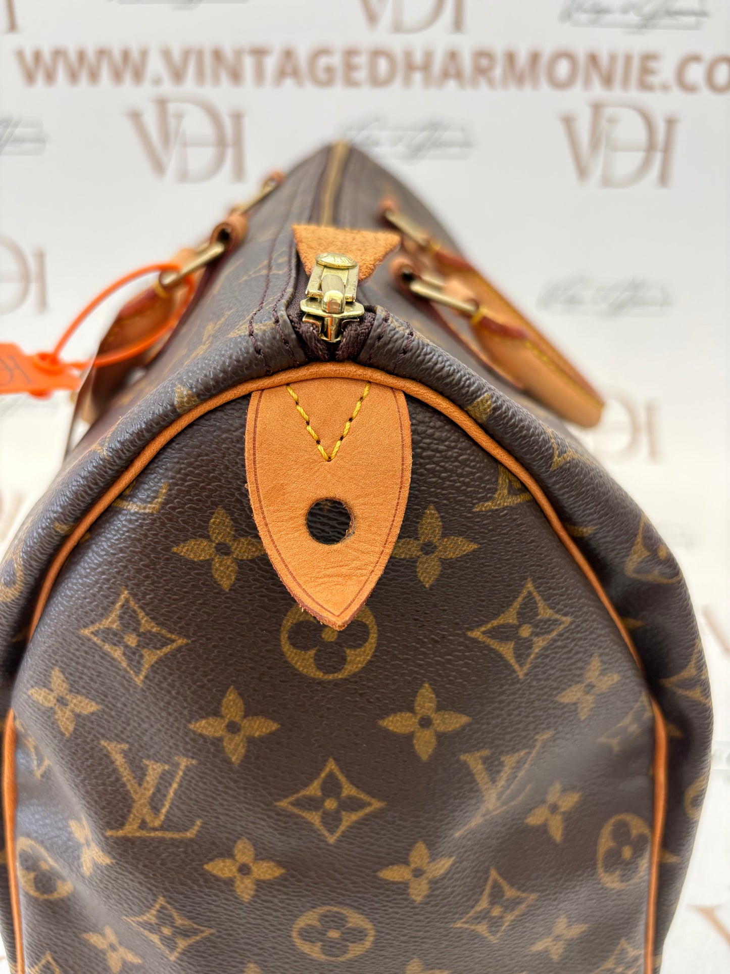 018794 - Louis Vuitton Speedy 35