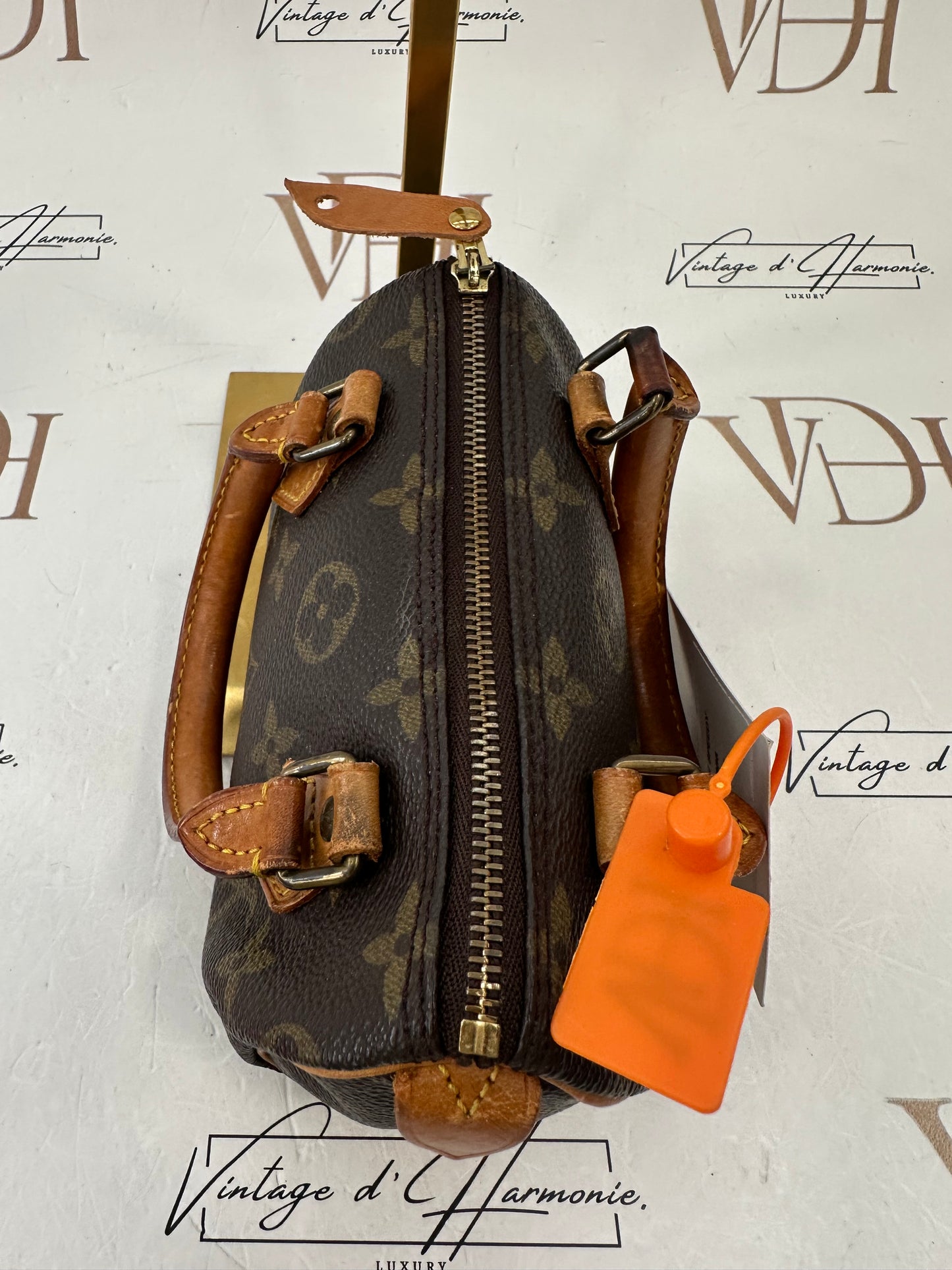 016866 - Louis Vuitton Nano Speedy