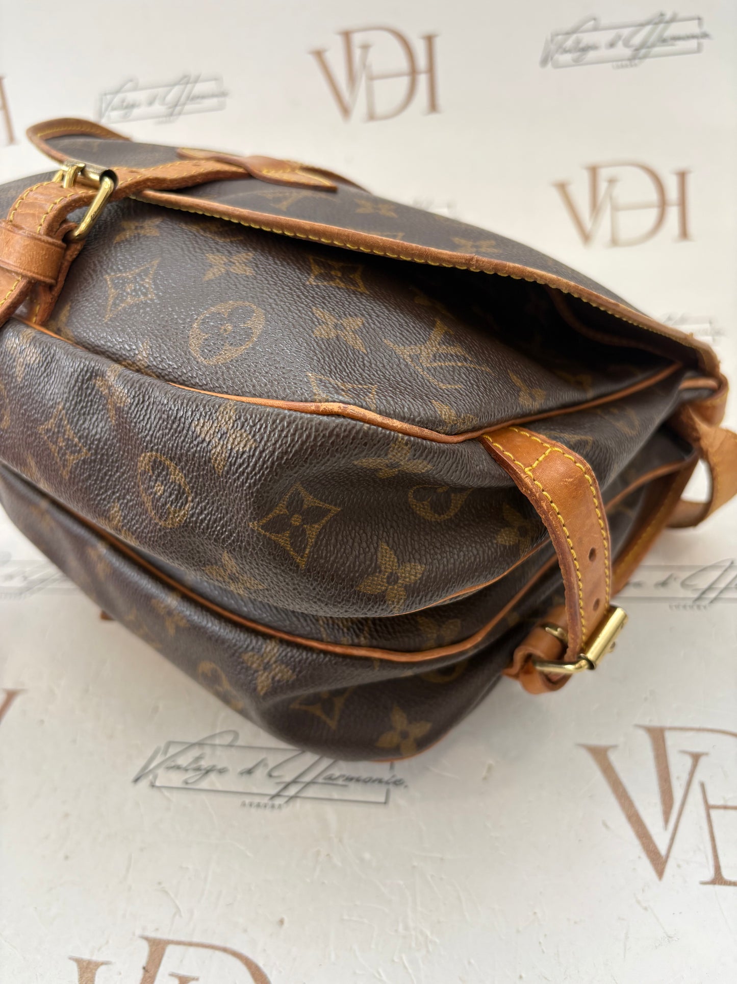 018283 - Louis Vuitton Saumur 30