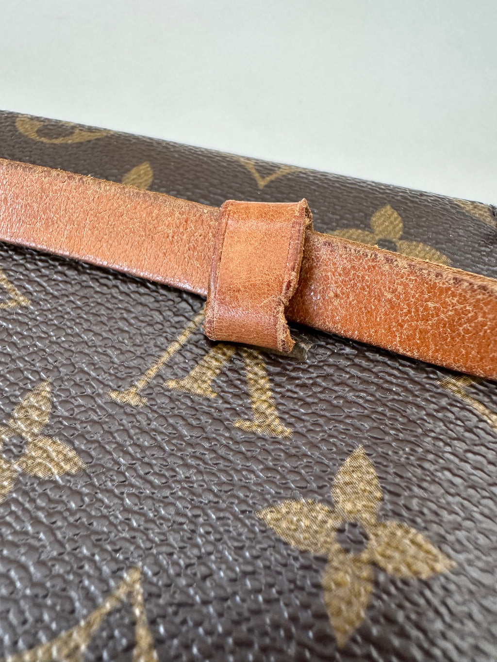 Louis Vuitton Florentine