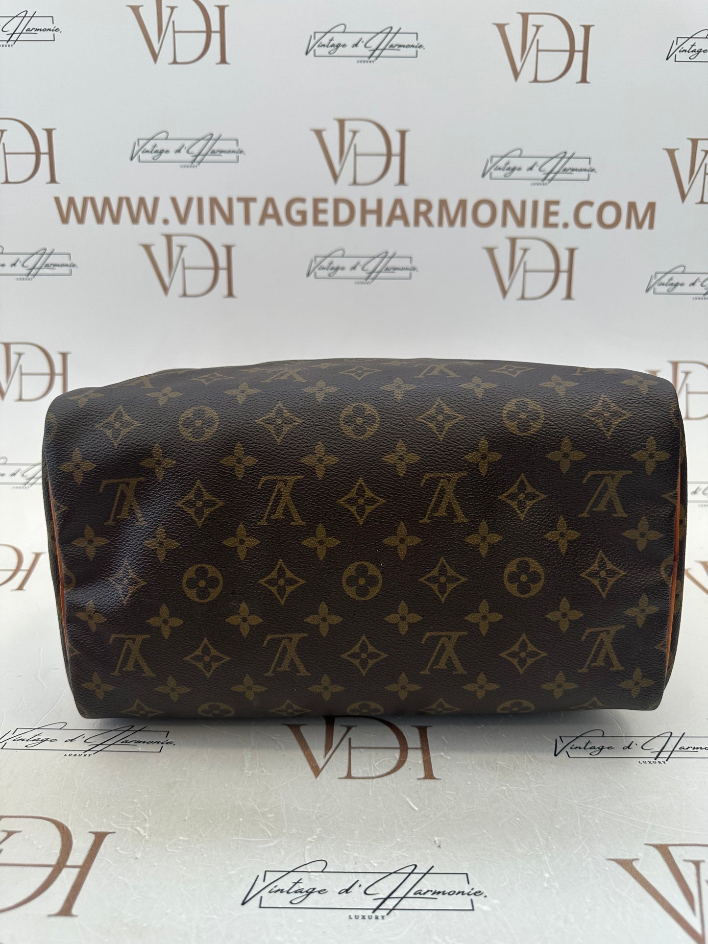 017846 - Louis Vuitton Speedy 30