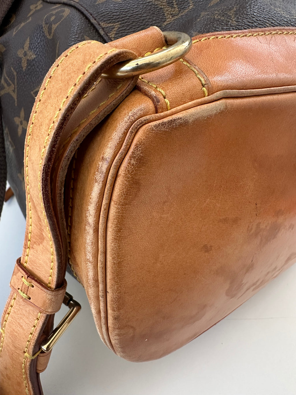 Louis Vuitton Montsouris GM