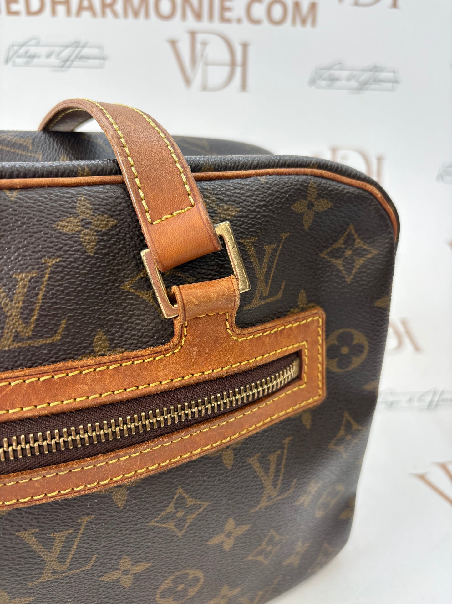 018776 - Louis Vuitton Cite GM