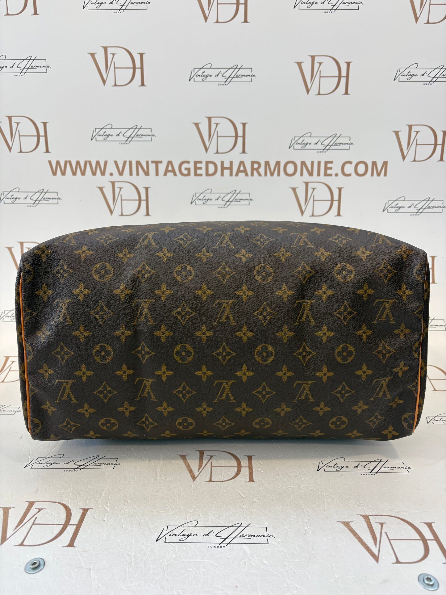 018862 - Louis Vuitton Speedy 40