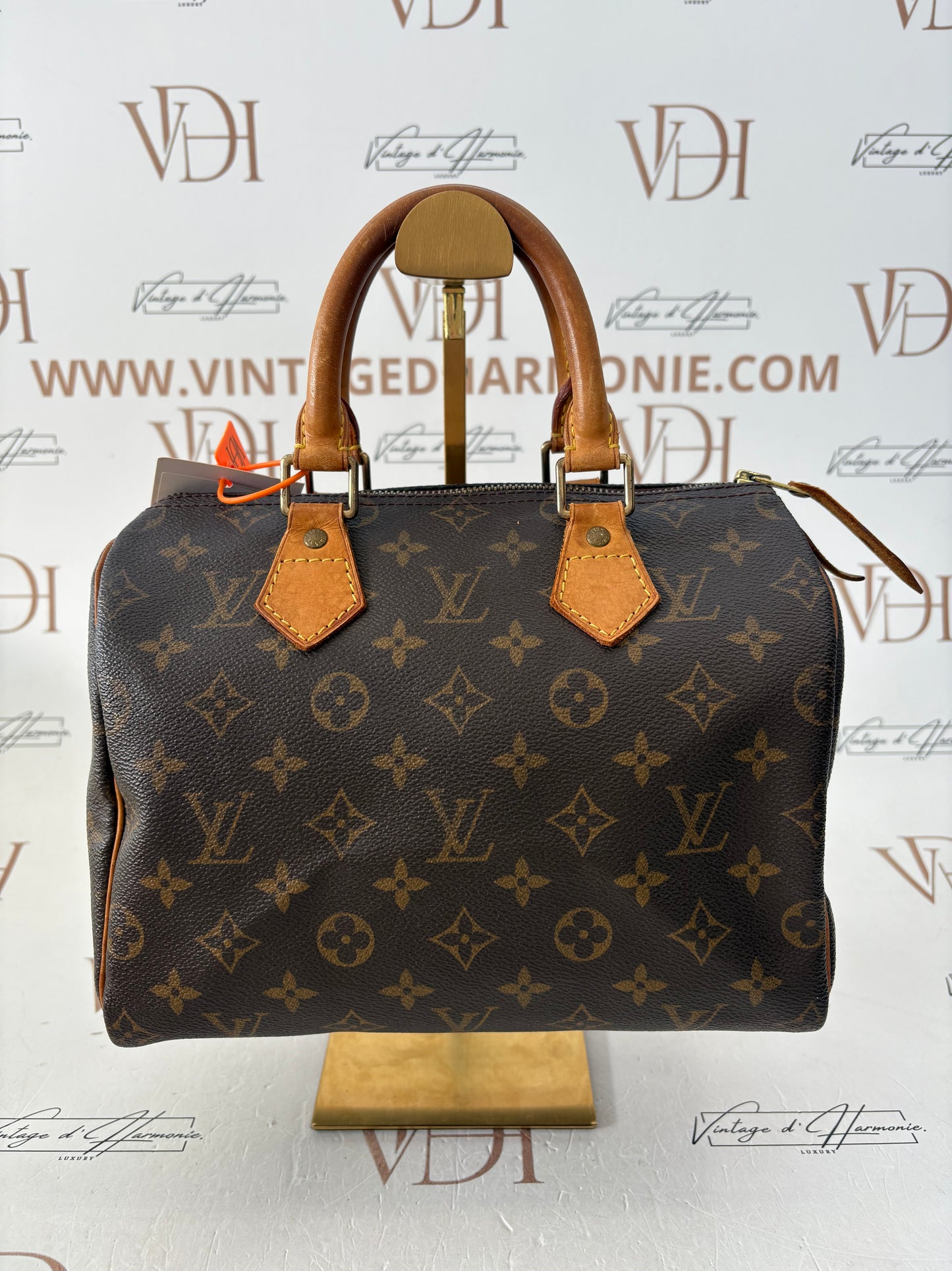 018834 - Louis Vuitton Speedy 25