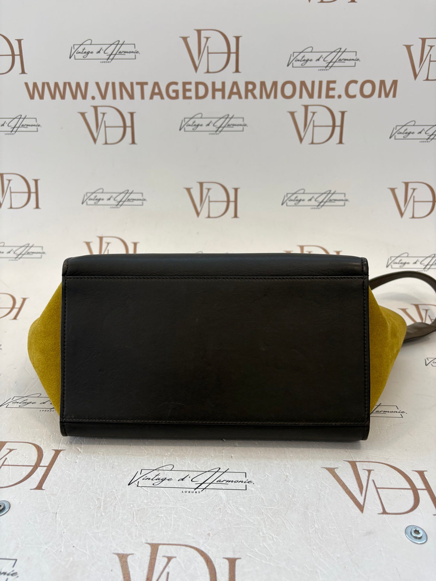 383703 - Céline Trapeze