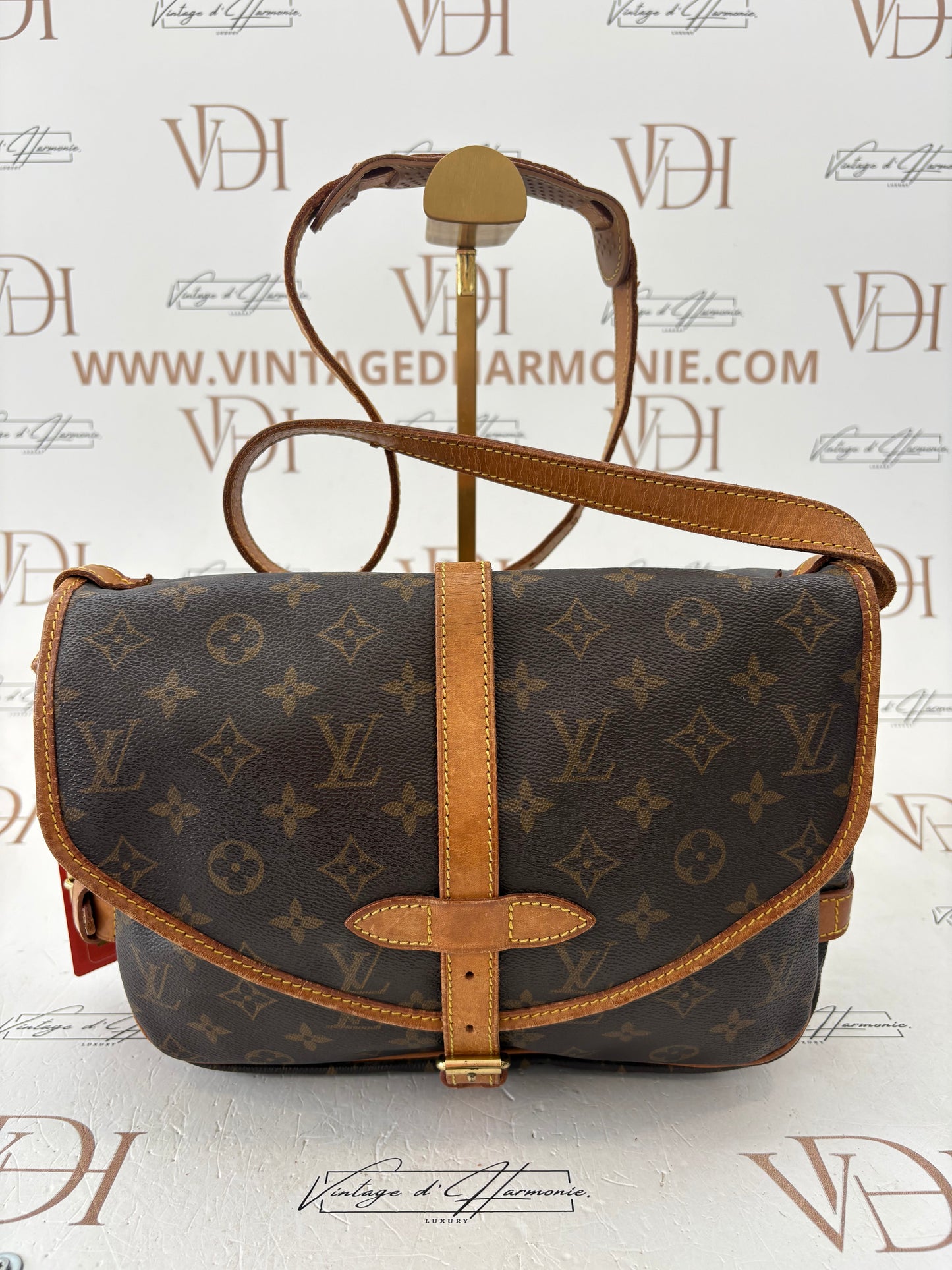 018283 - Louis Vuitton Saumur 30