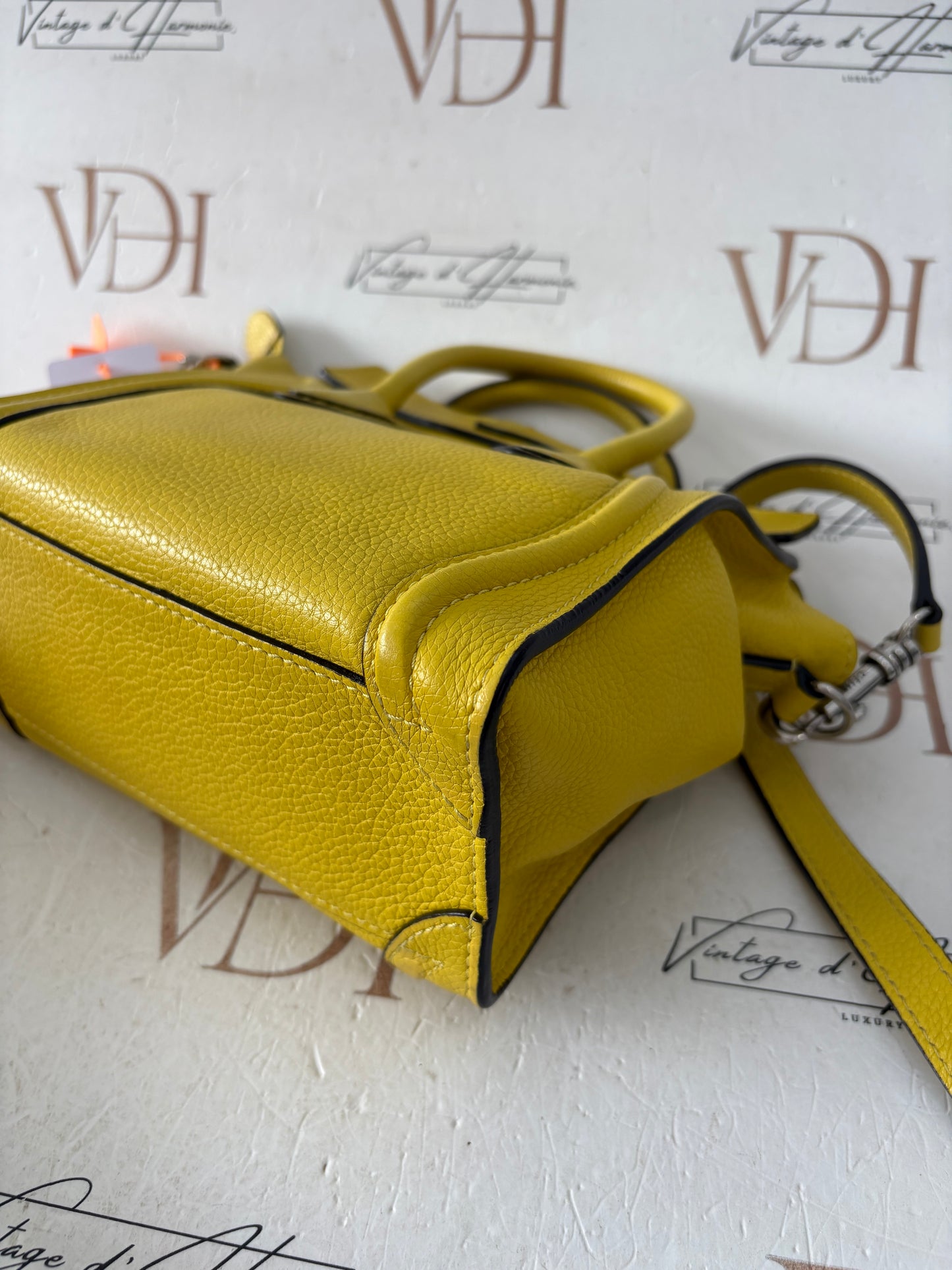 201654 - Céline Nano