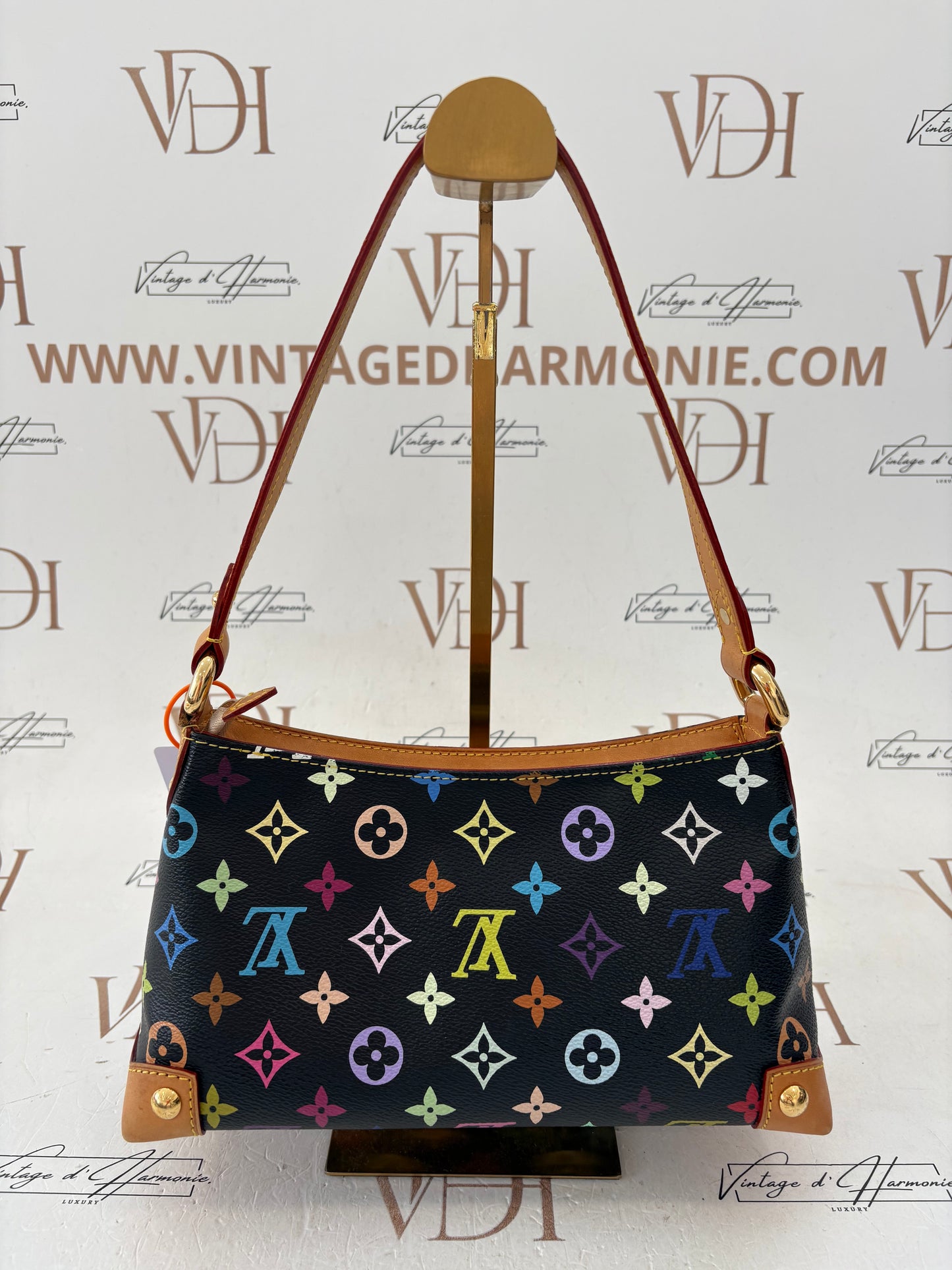 018346 - Louis Vuitton Multicolor Eliza