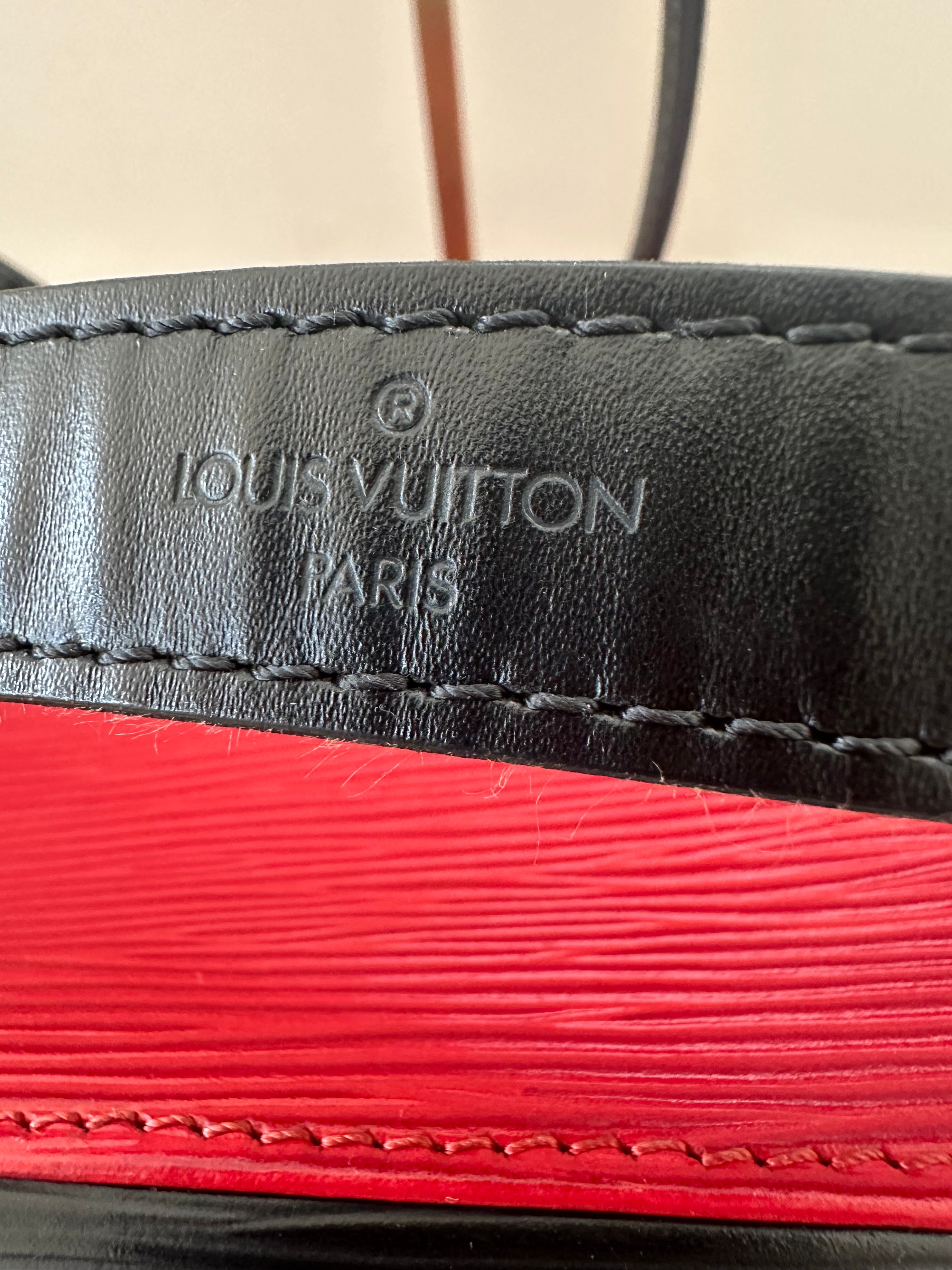 Louis Vuitton Petite Noé Epi Bicolor