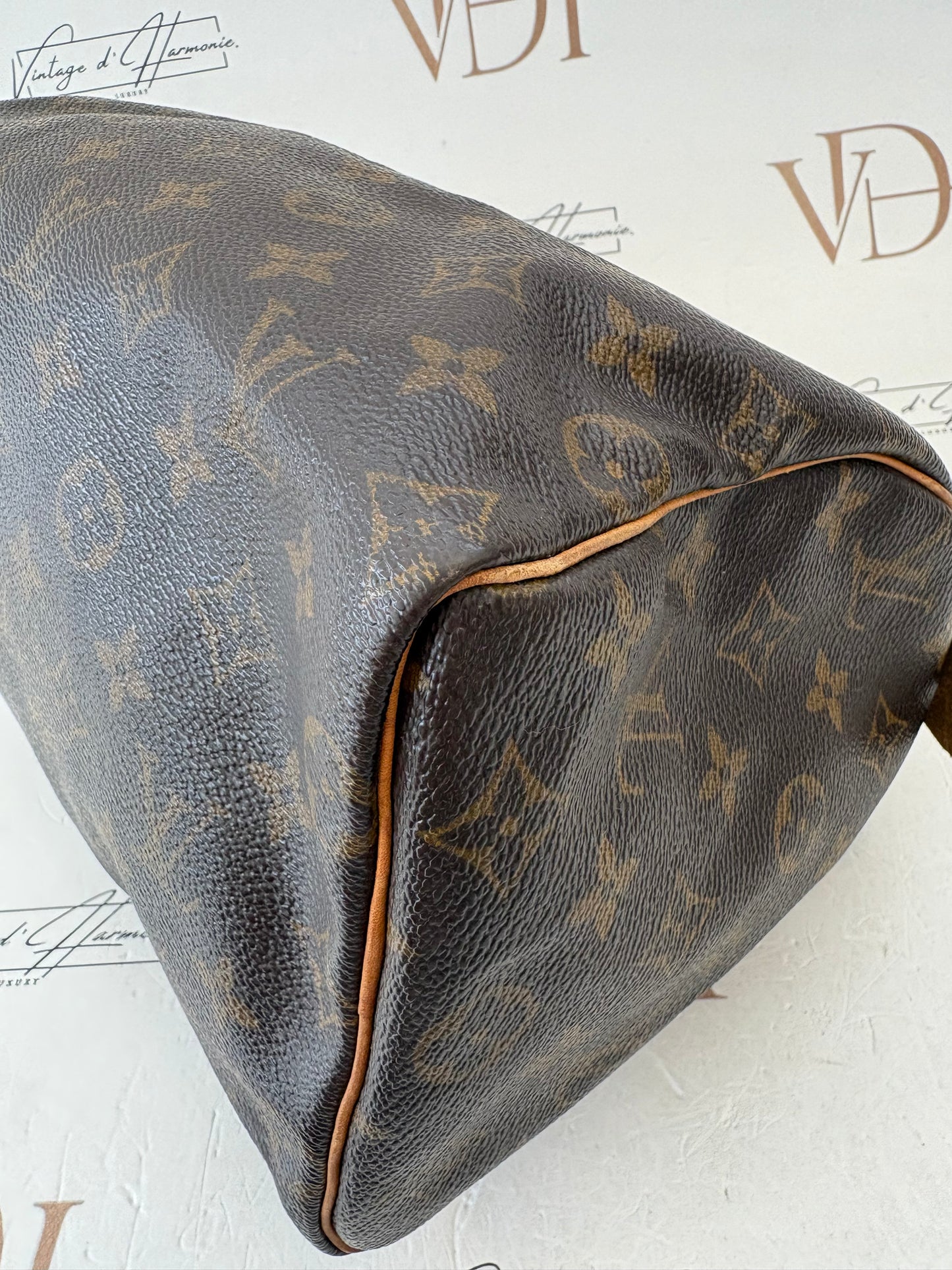 017738 - Louis Vuitton Speedy 25