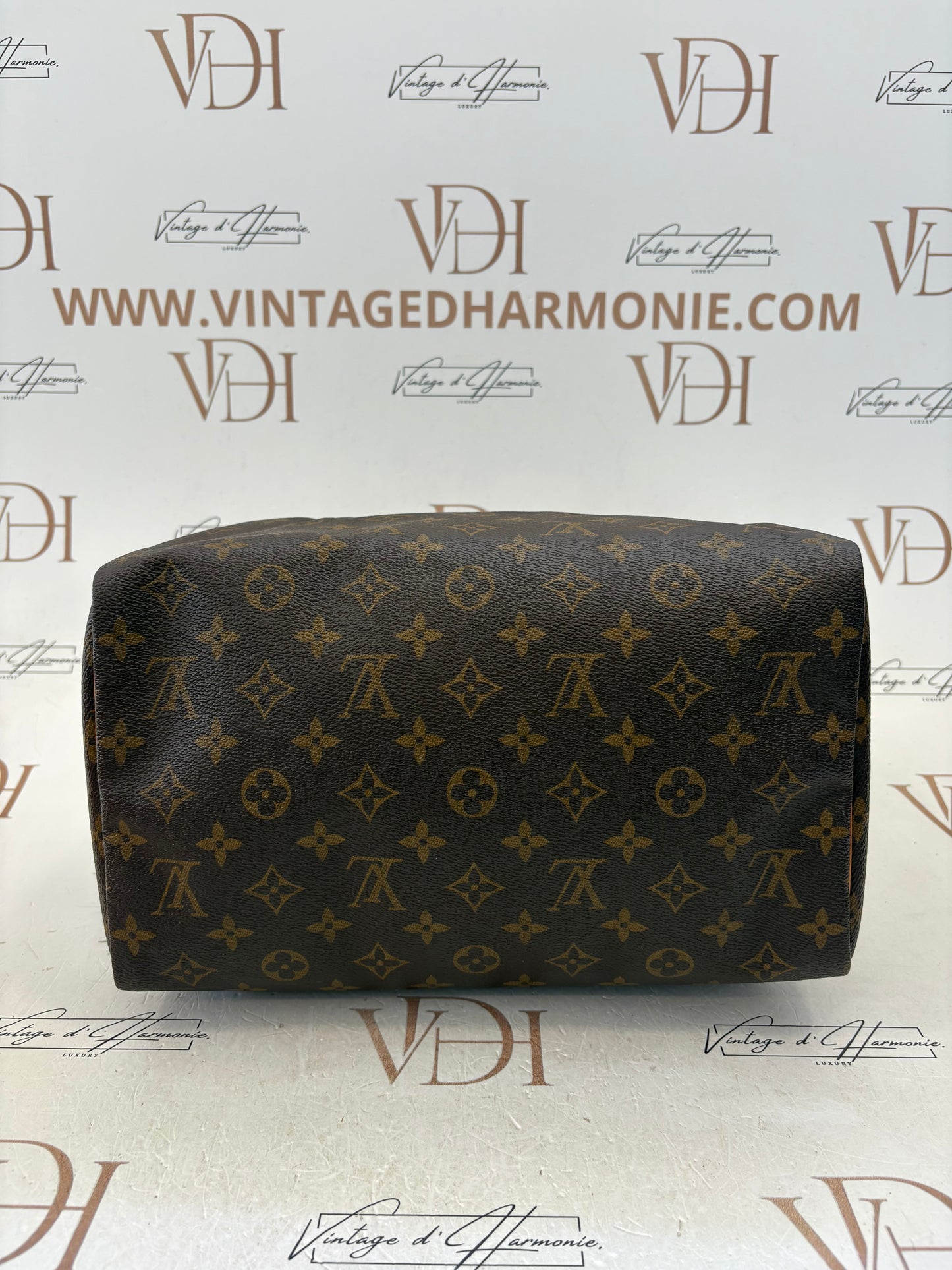 017213 - Louis Vuitton Speedy 30