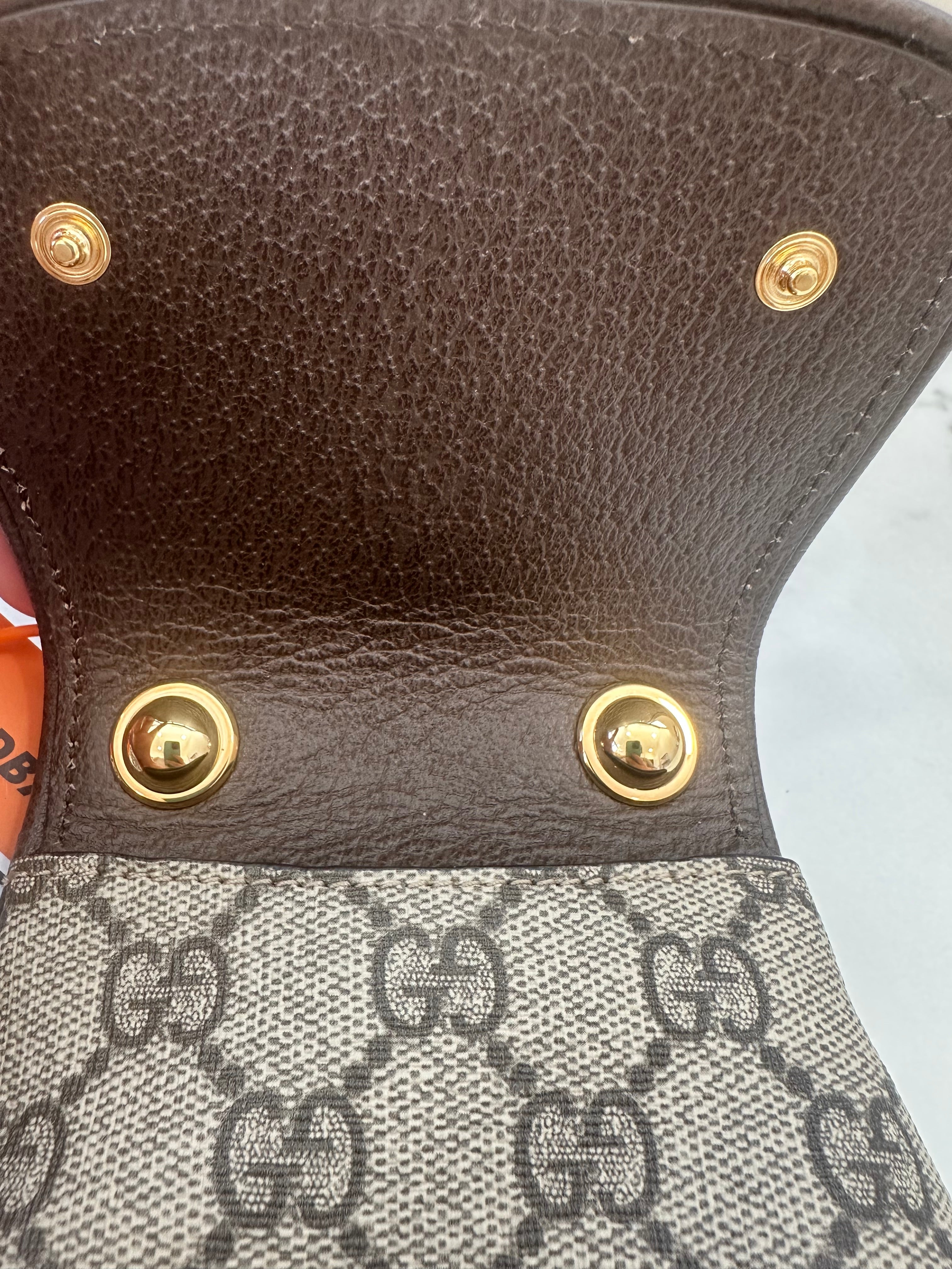 Gucci Brown GG Supreme Blondie