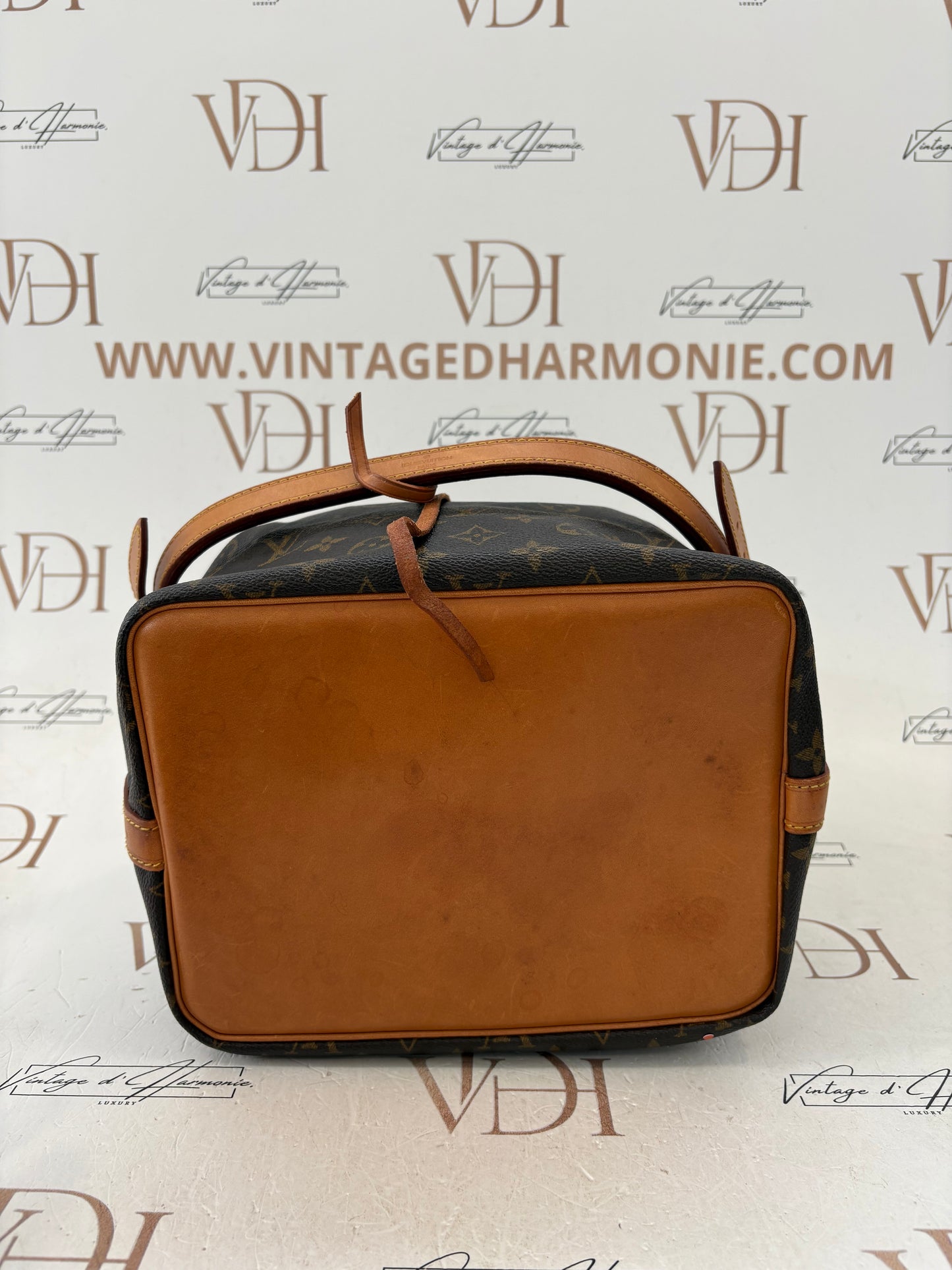 018246 - Louis Vuitton Petite Noé