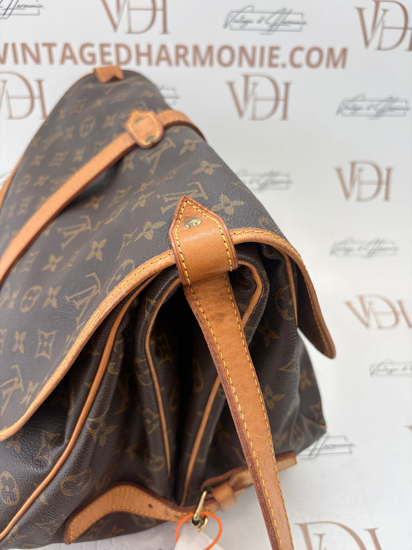 019002 - Louis Vuitton Saumur 35