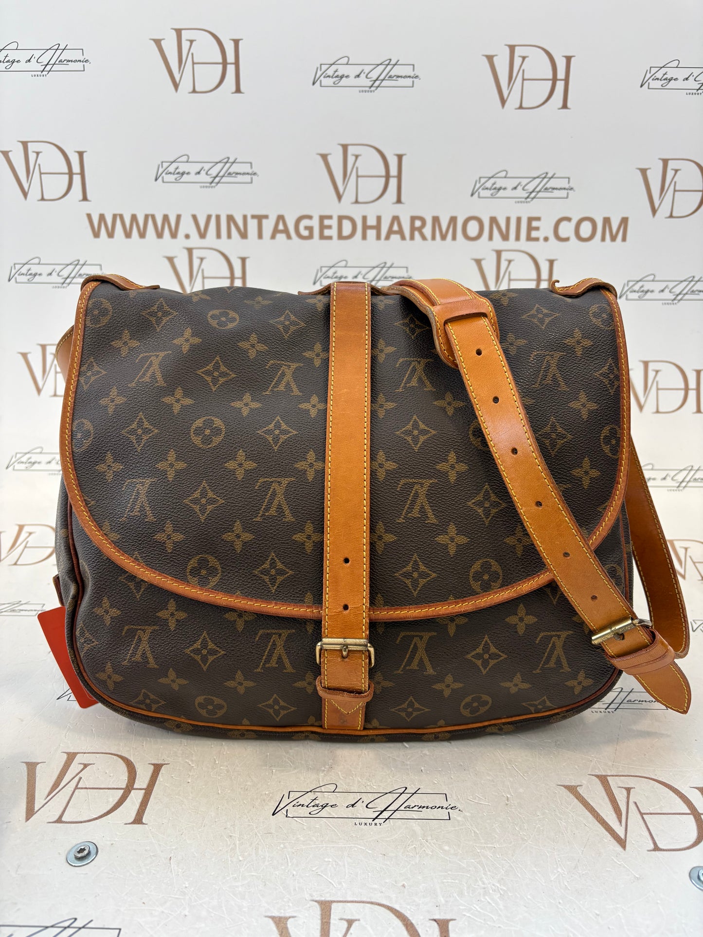 018589 - Louis Vuitton Saumur 35