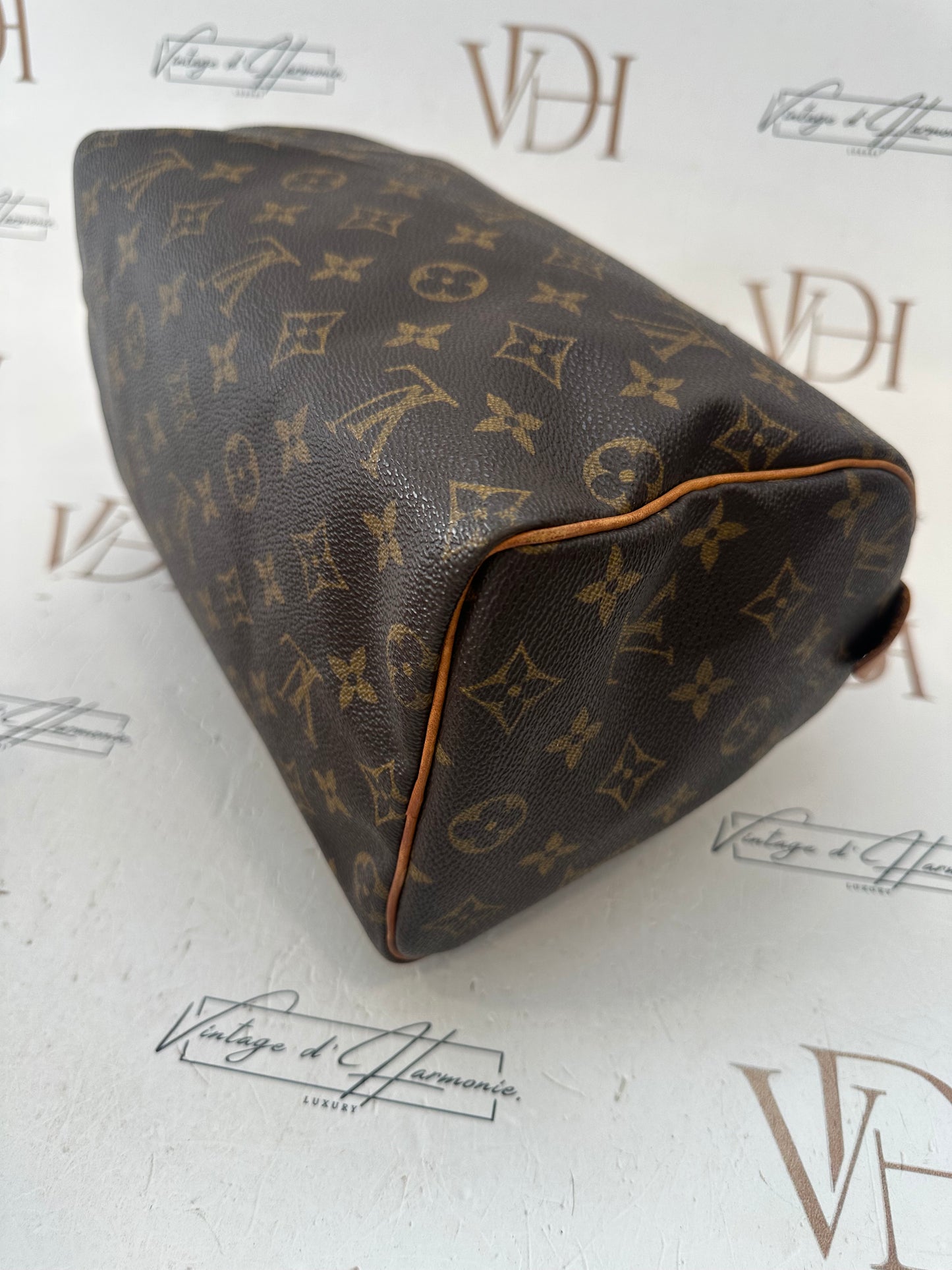 018033 - Louis Vuitton Speedy 25