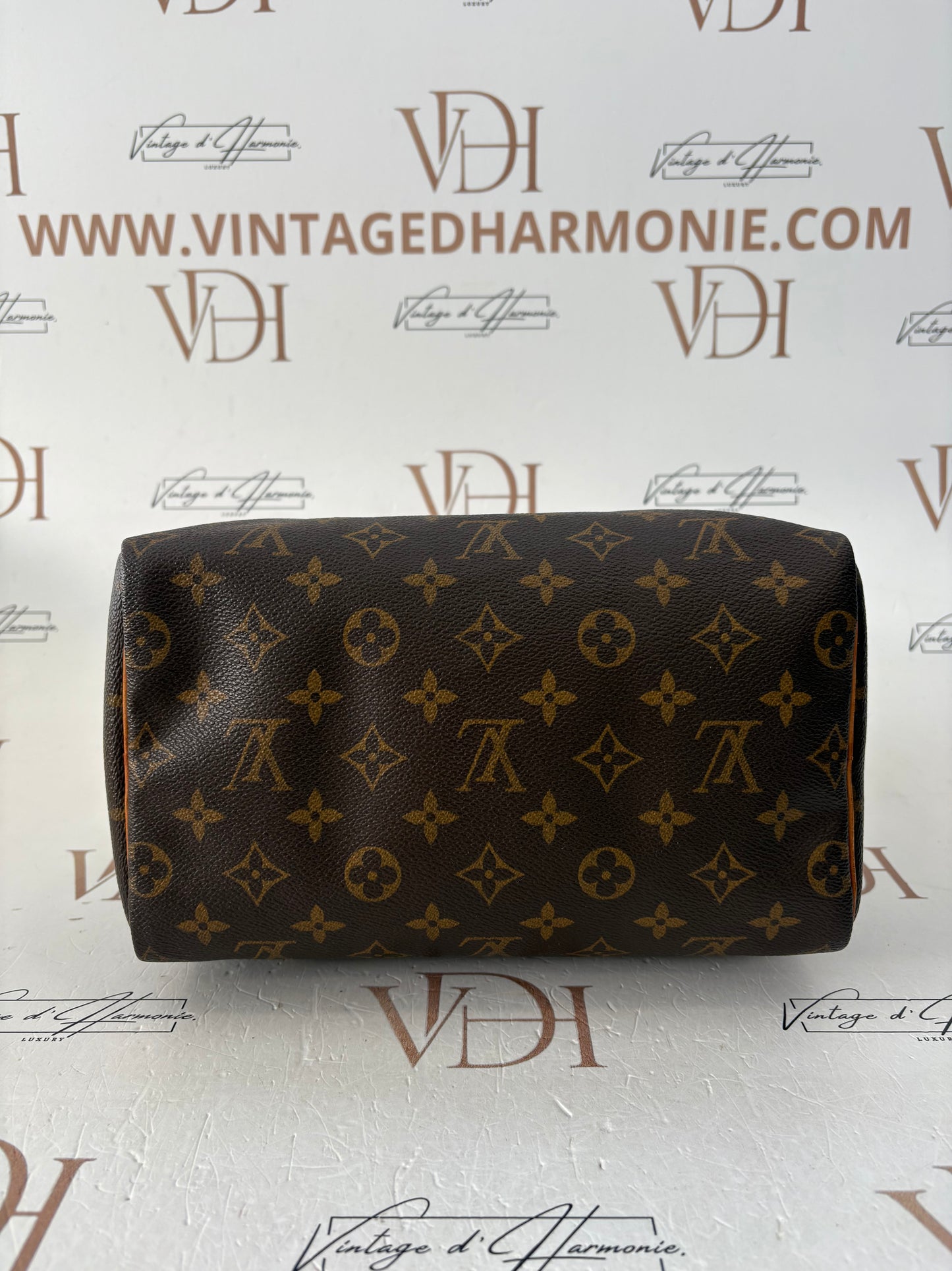018834 - Louis Vuitton Speedy 25