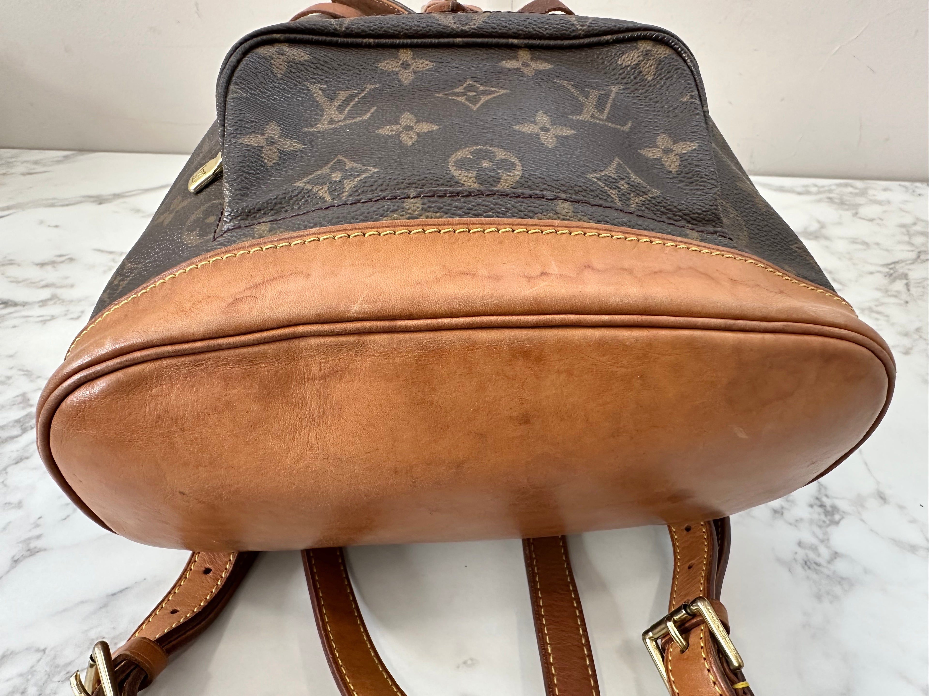 Louis Vuitton Montsouris MM