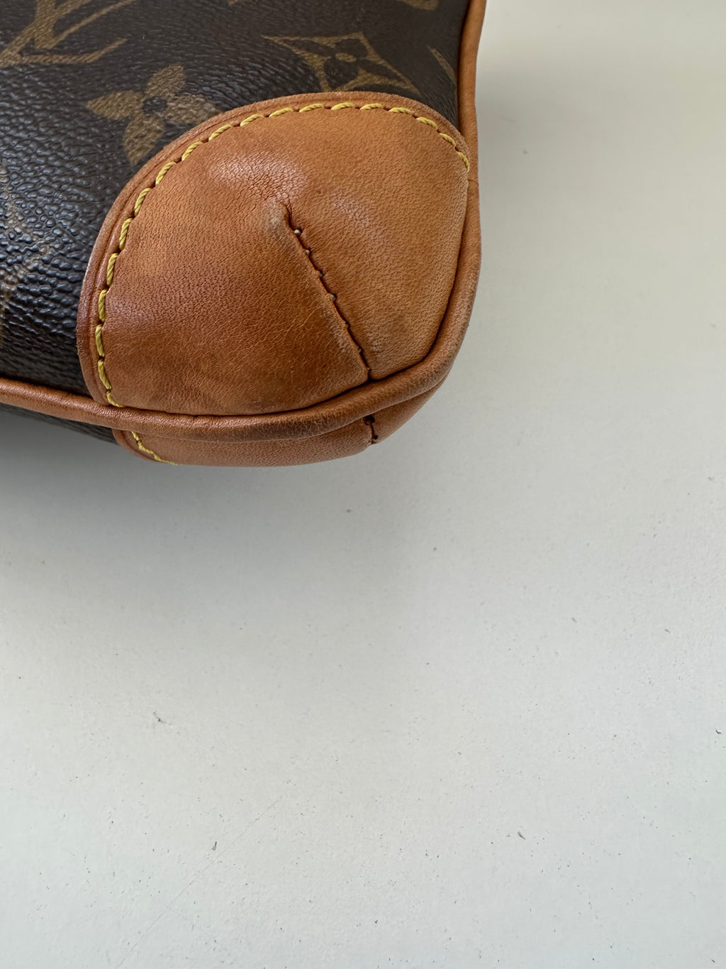 Louis Vuitton Coussin GM