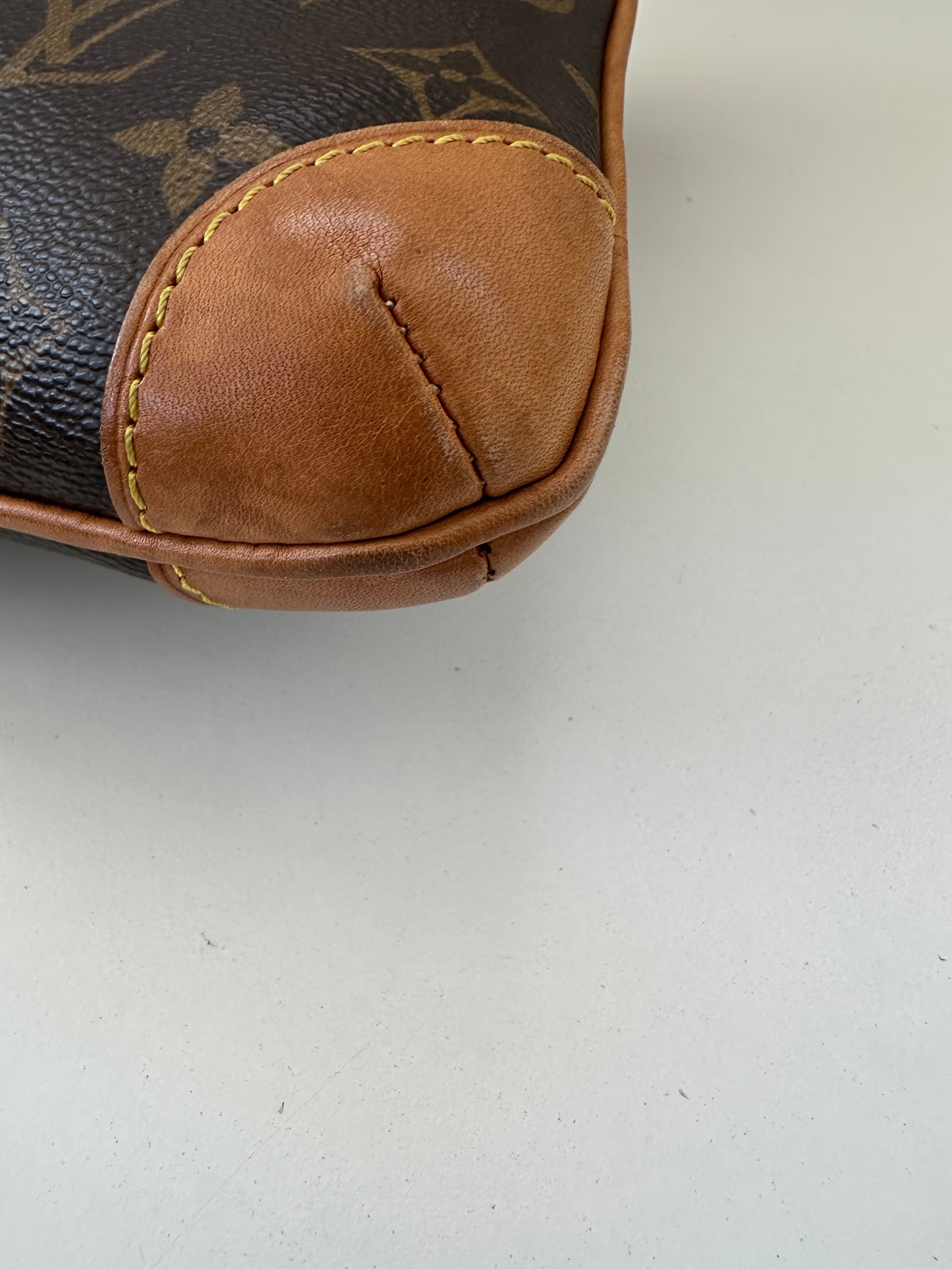 Louis Vuitton Coussin GM