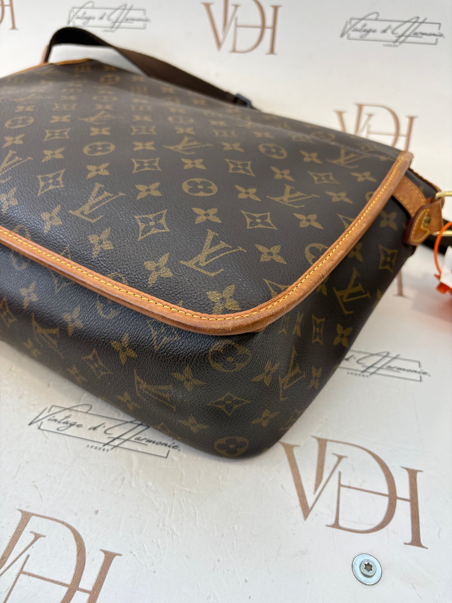 018720 - Louis Vuitton Gibeciere GM