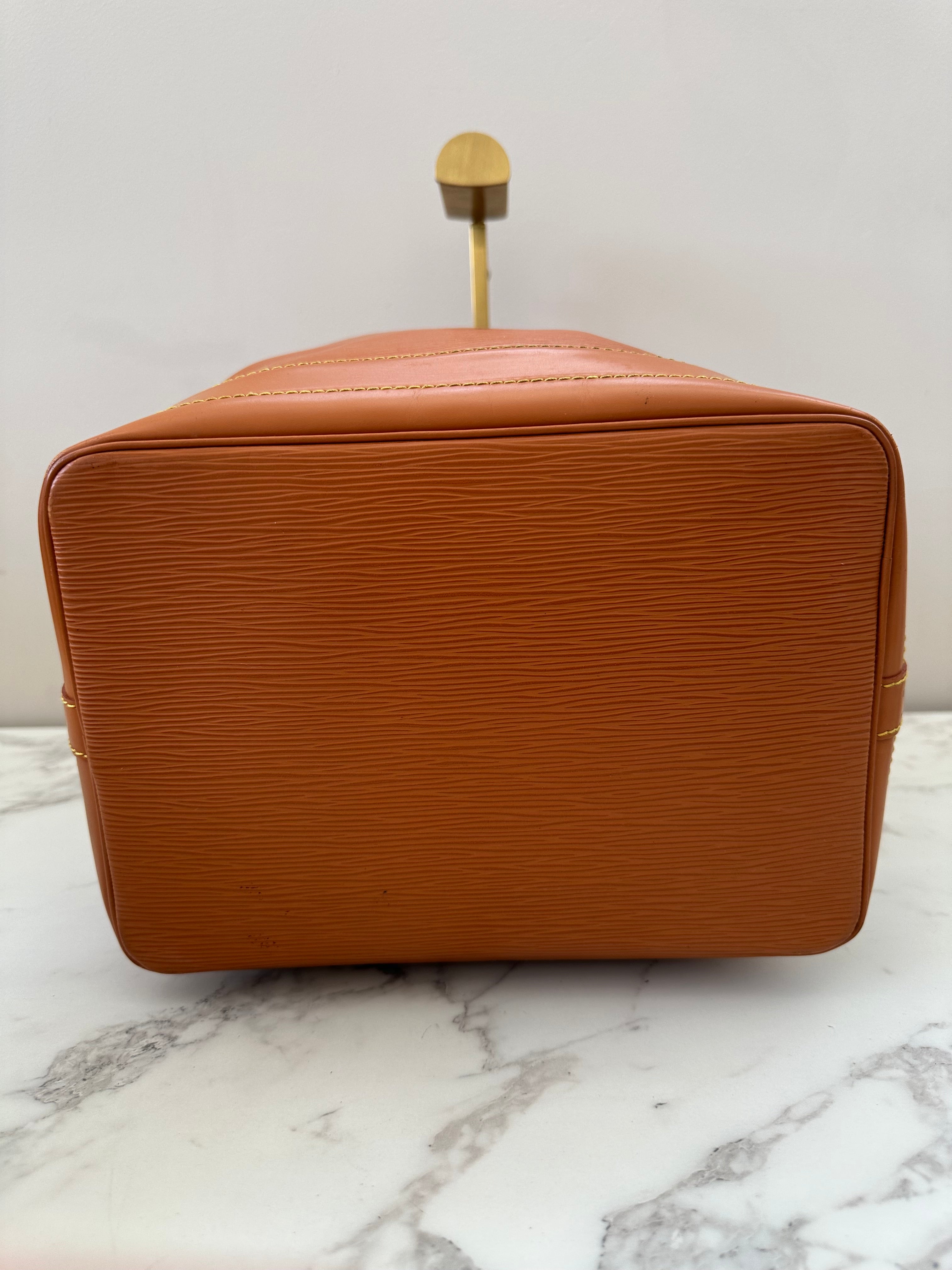 Louis Vuitton Noé Epi Brown