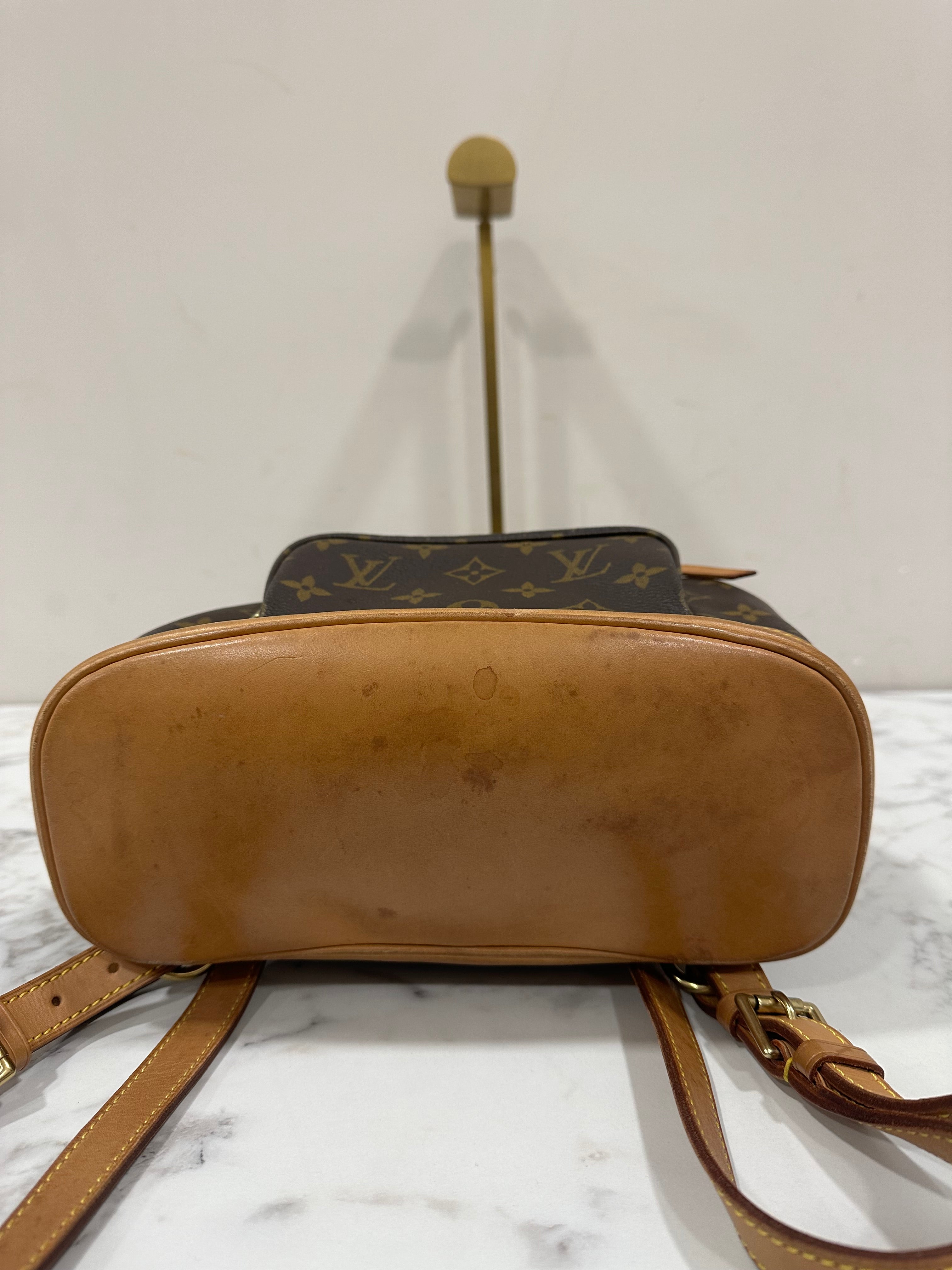 Louis Vuitton Montsouris MM