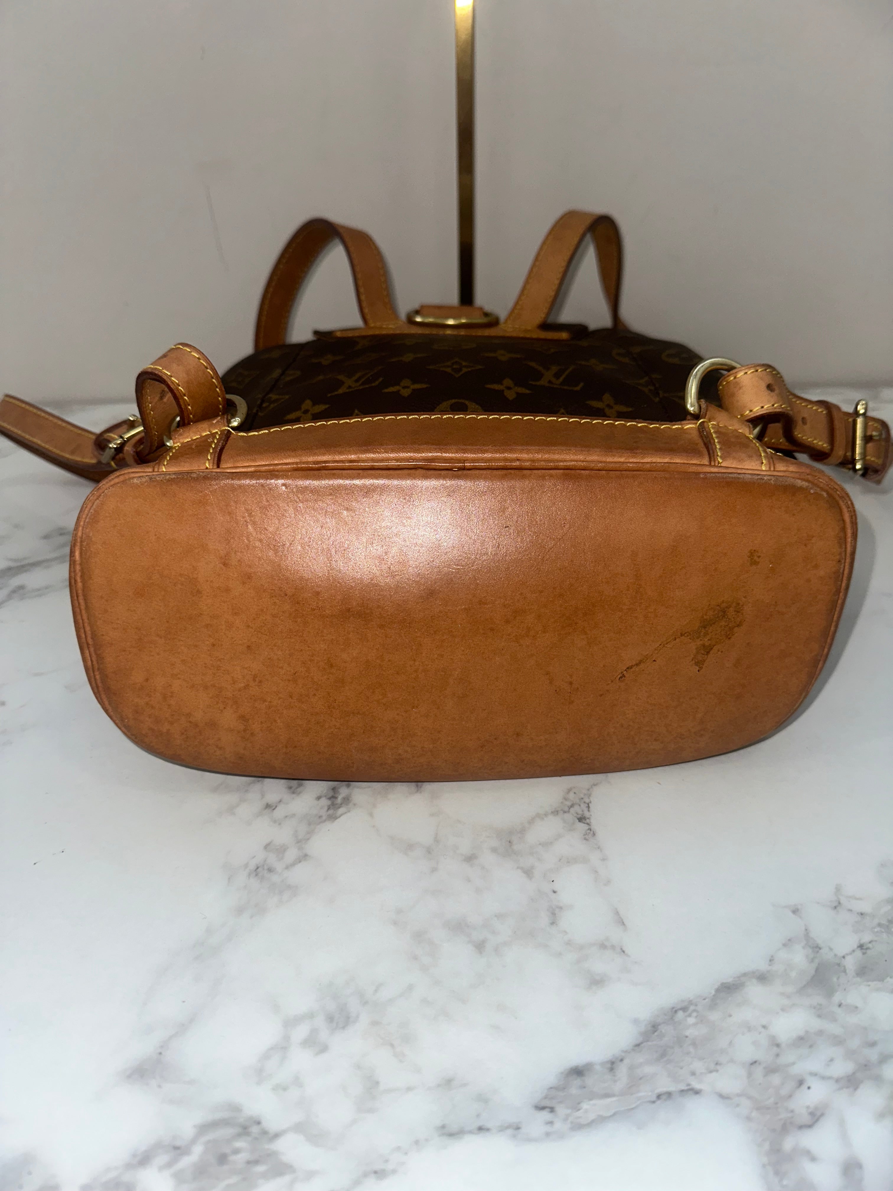 Louis Vuitton Montsouris mm