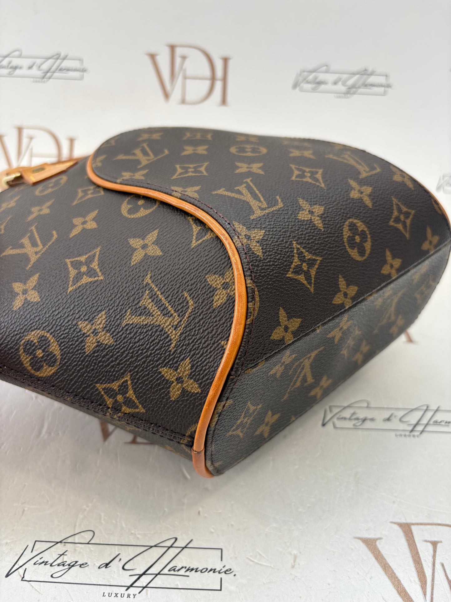 018734 - Louis Vuitton Ellipse PM